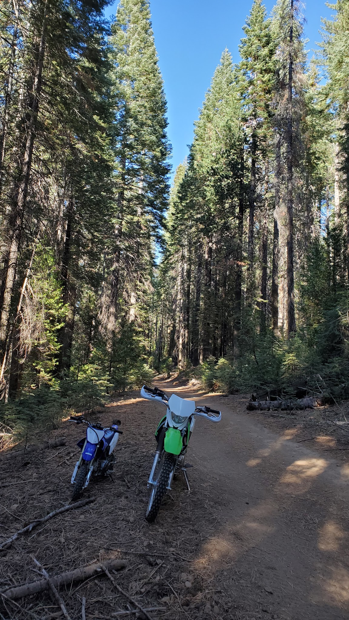 Hull Creek Campground