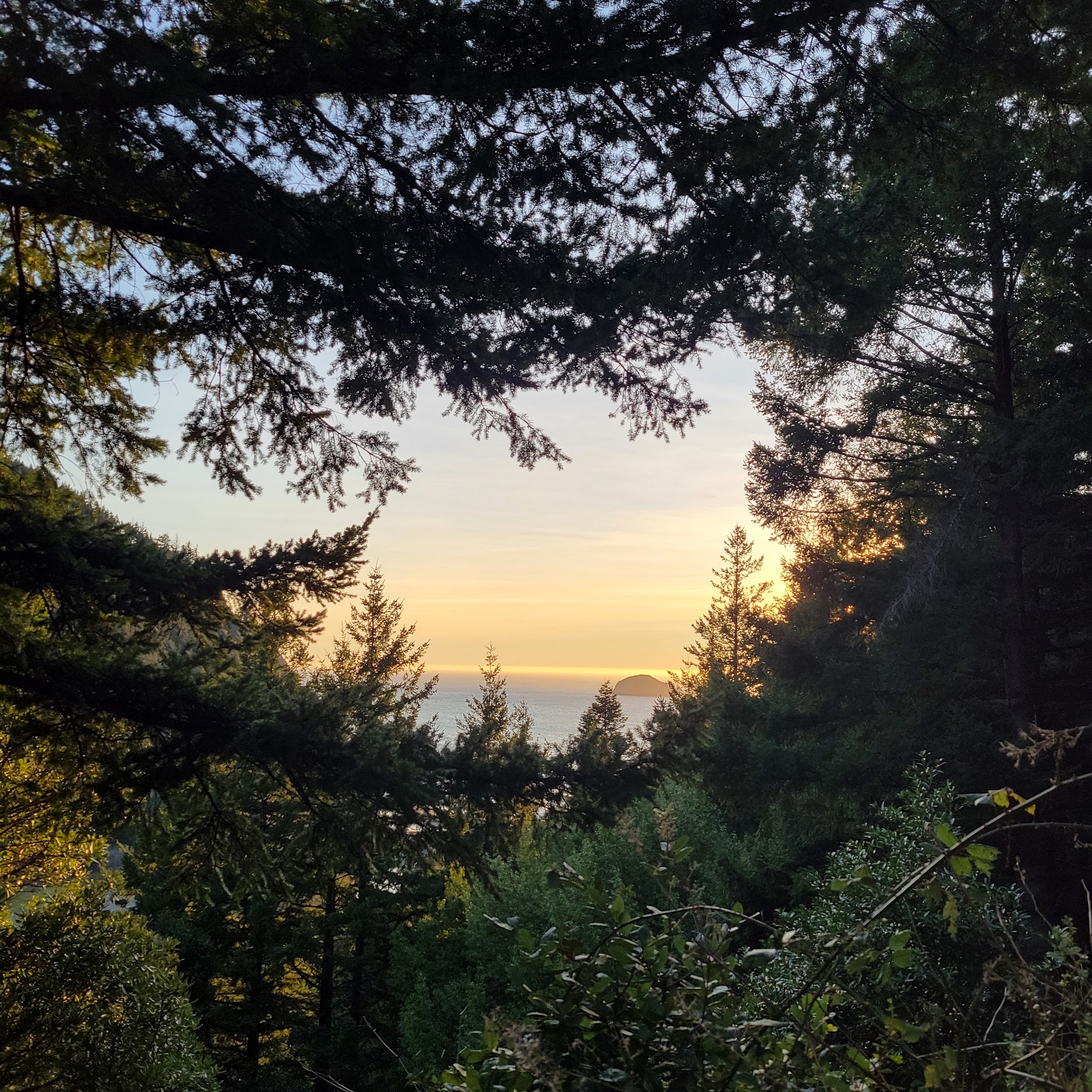 Humbug Mountain State Park