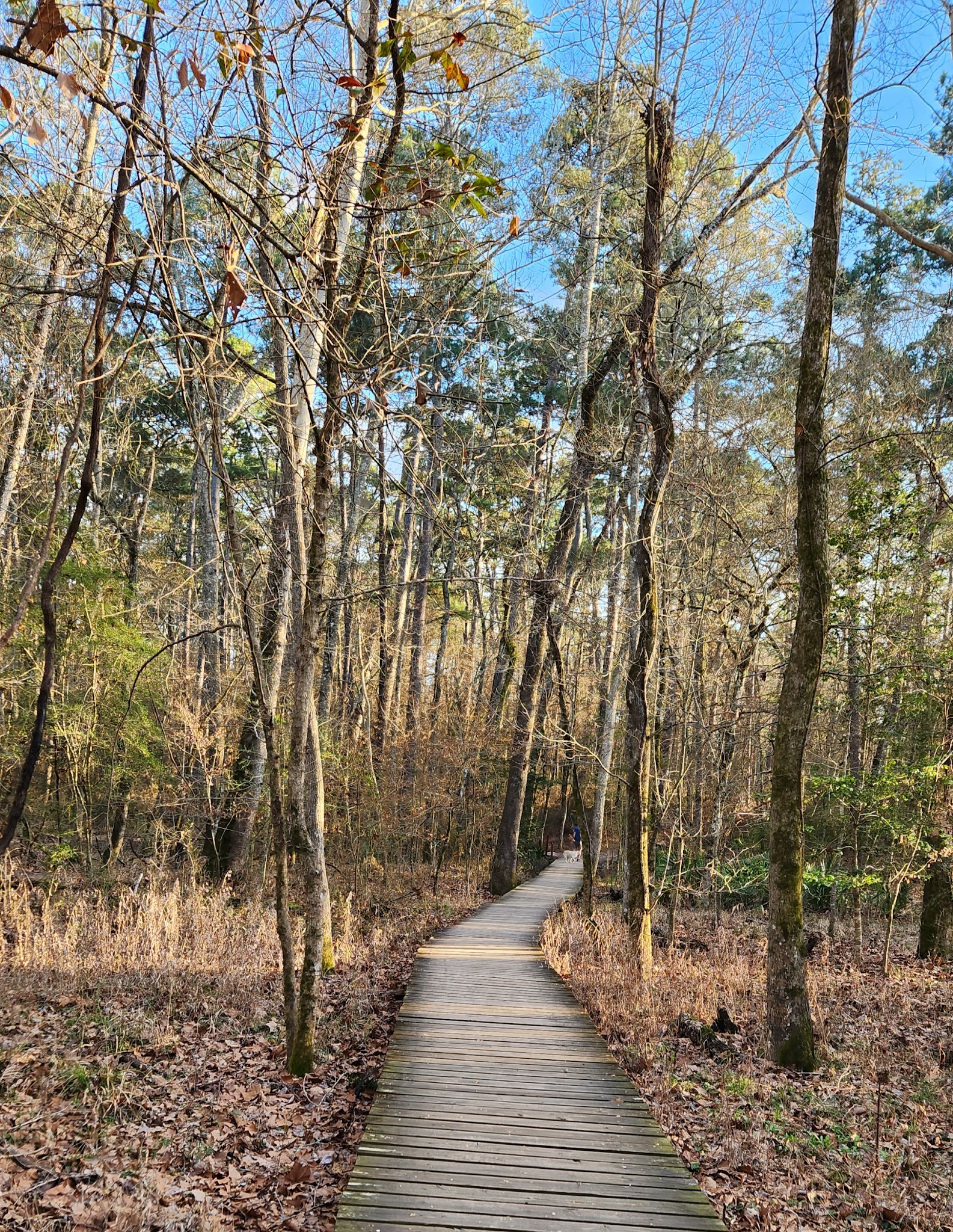 Huntsville State Park