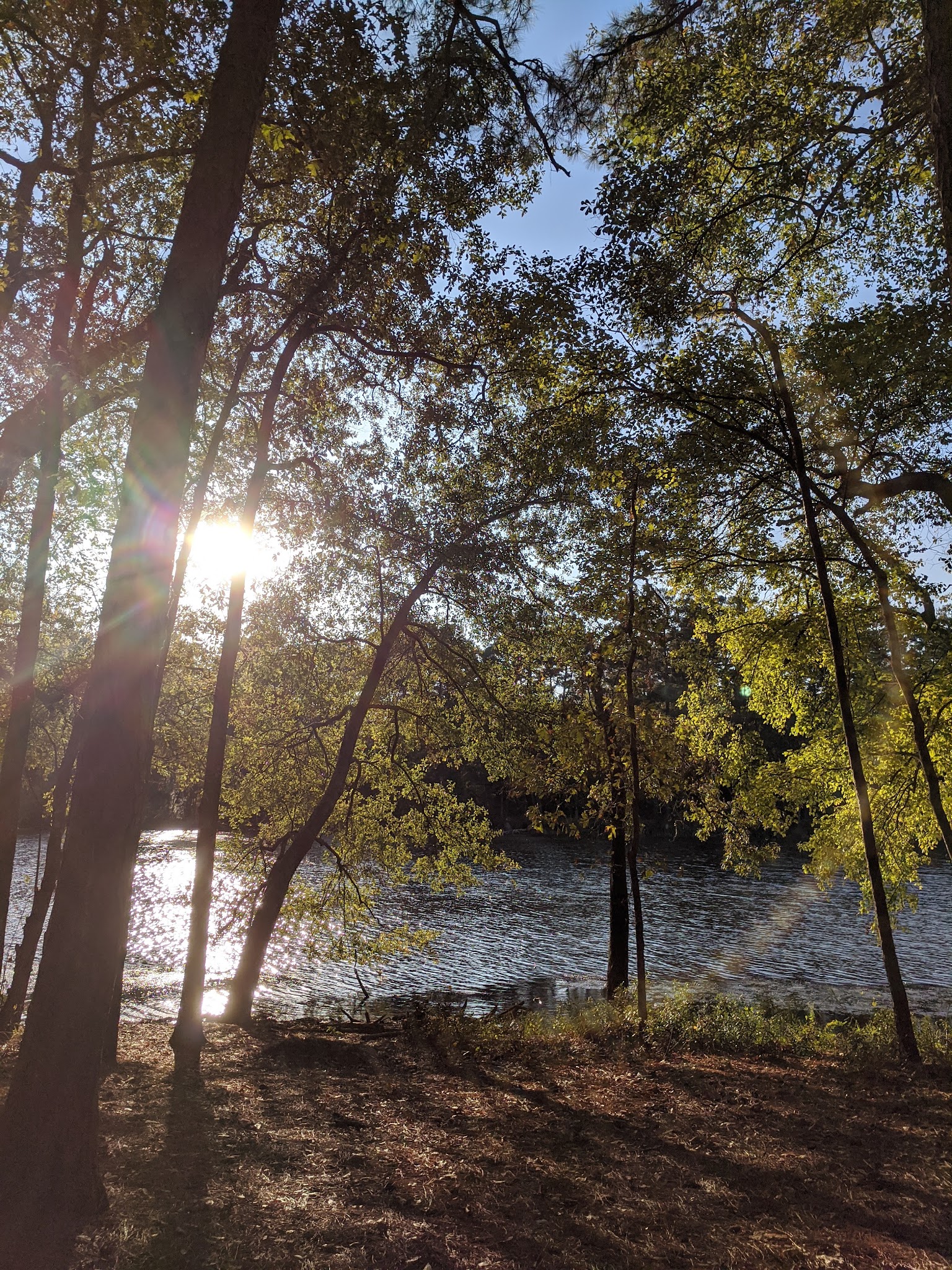 Huntsville State Park