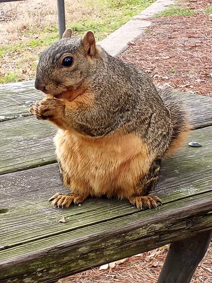 Huntsville State Park