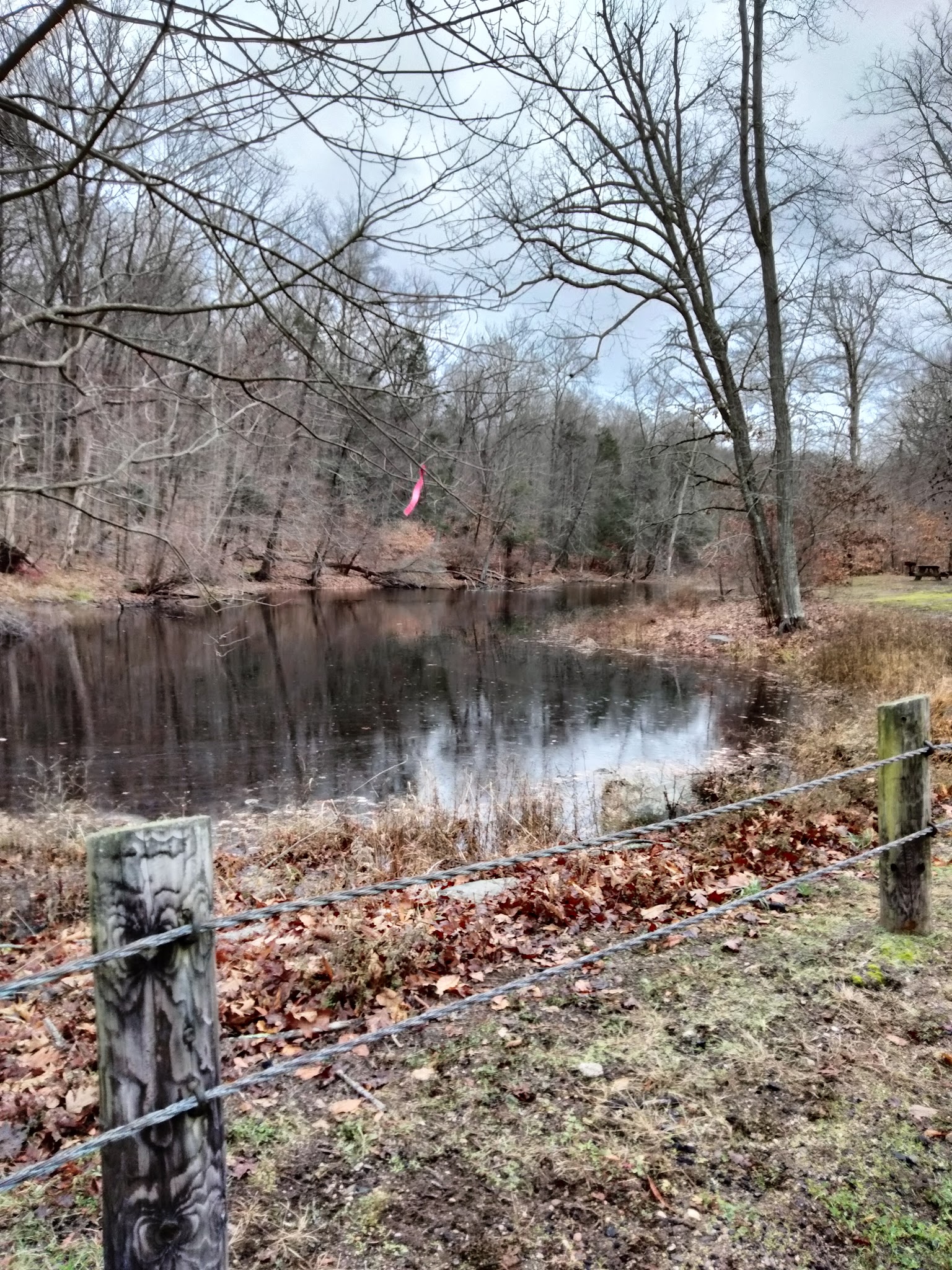 Hurd State Park River Camping