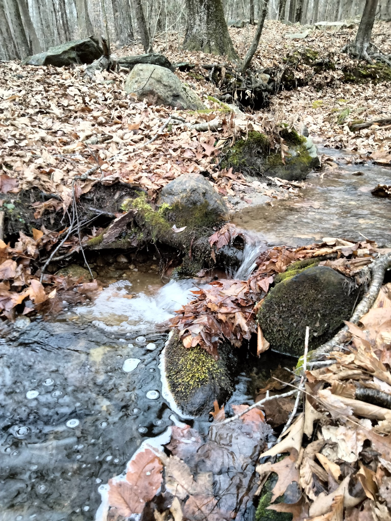 Hurd State Park River Camping