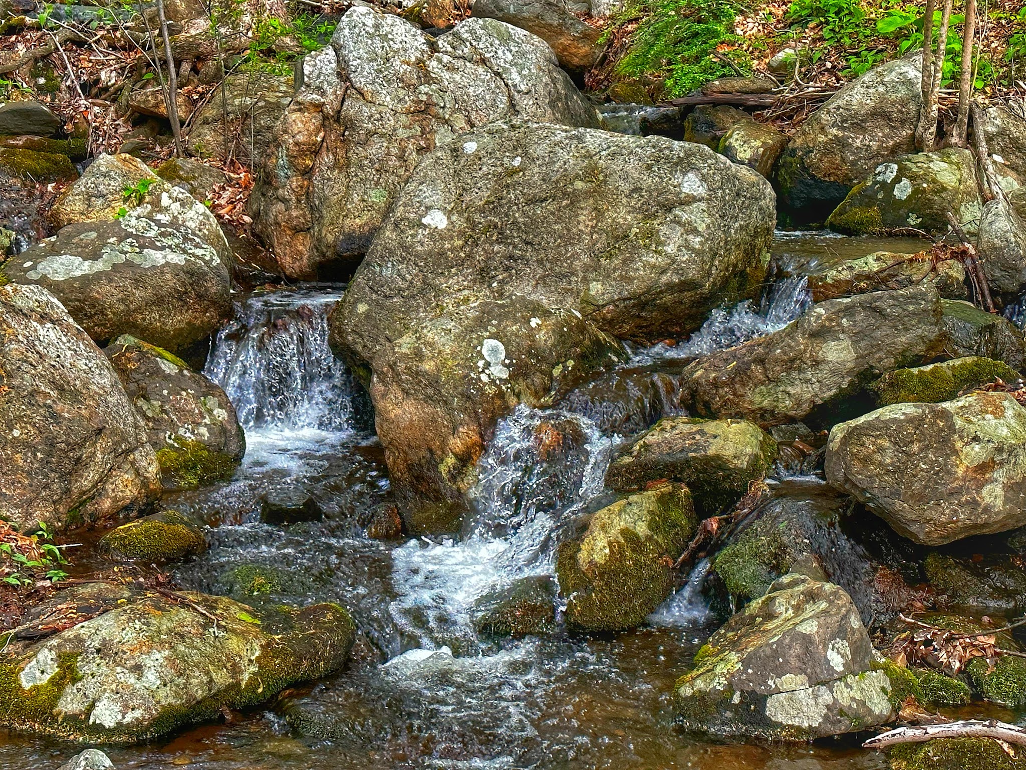 Hurd State Park River Camping