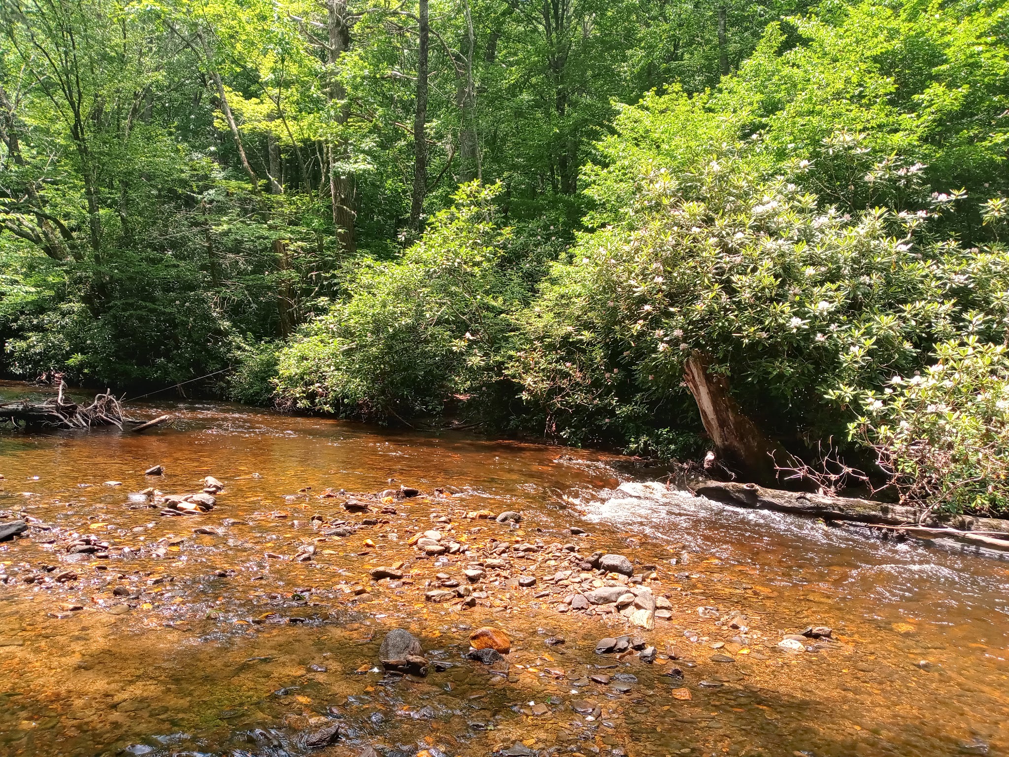 Hurricane Creek Horse & Primitive Campground