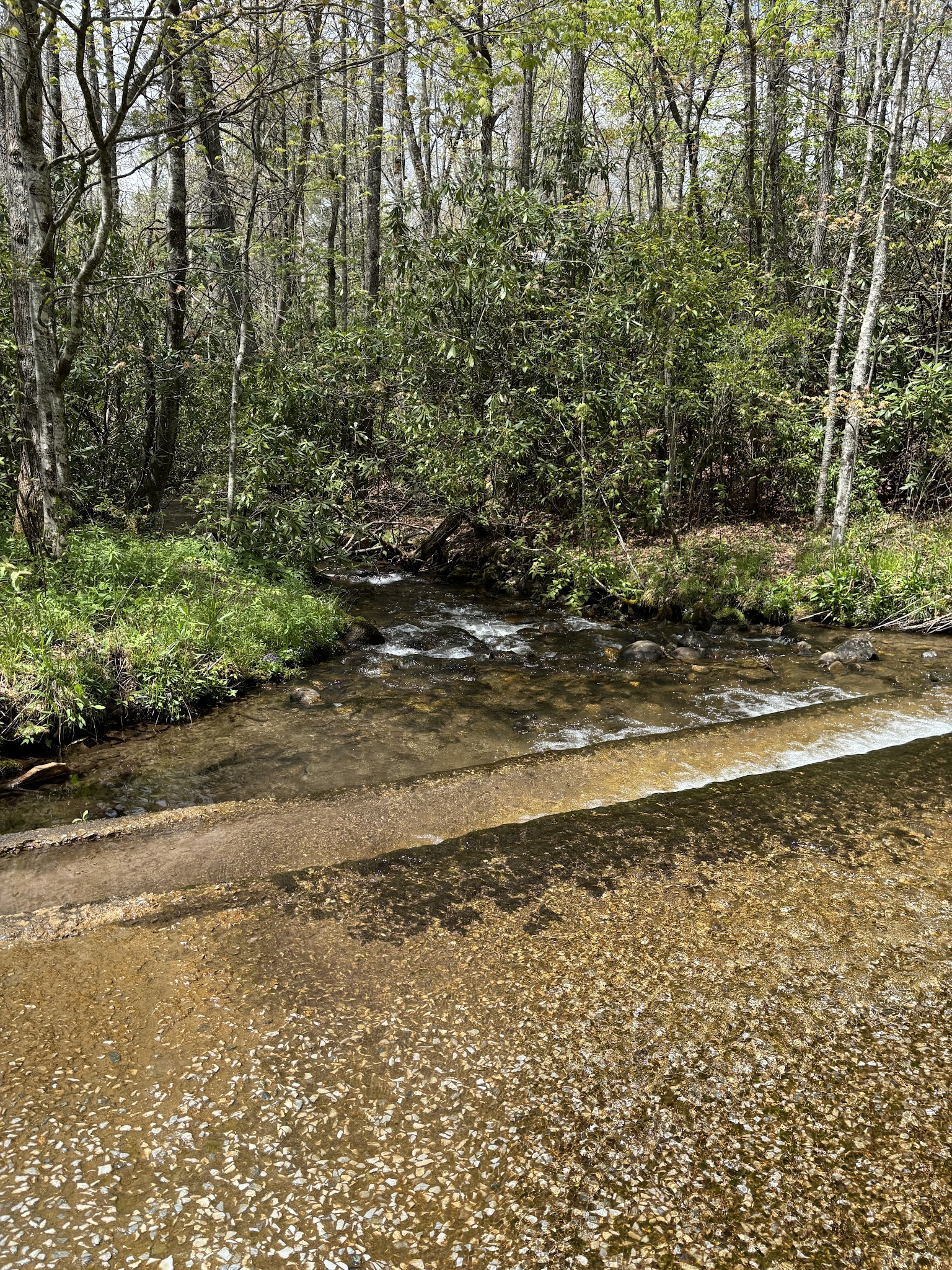 Hurricane Creek Horse & Primitive Campground