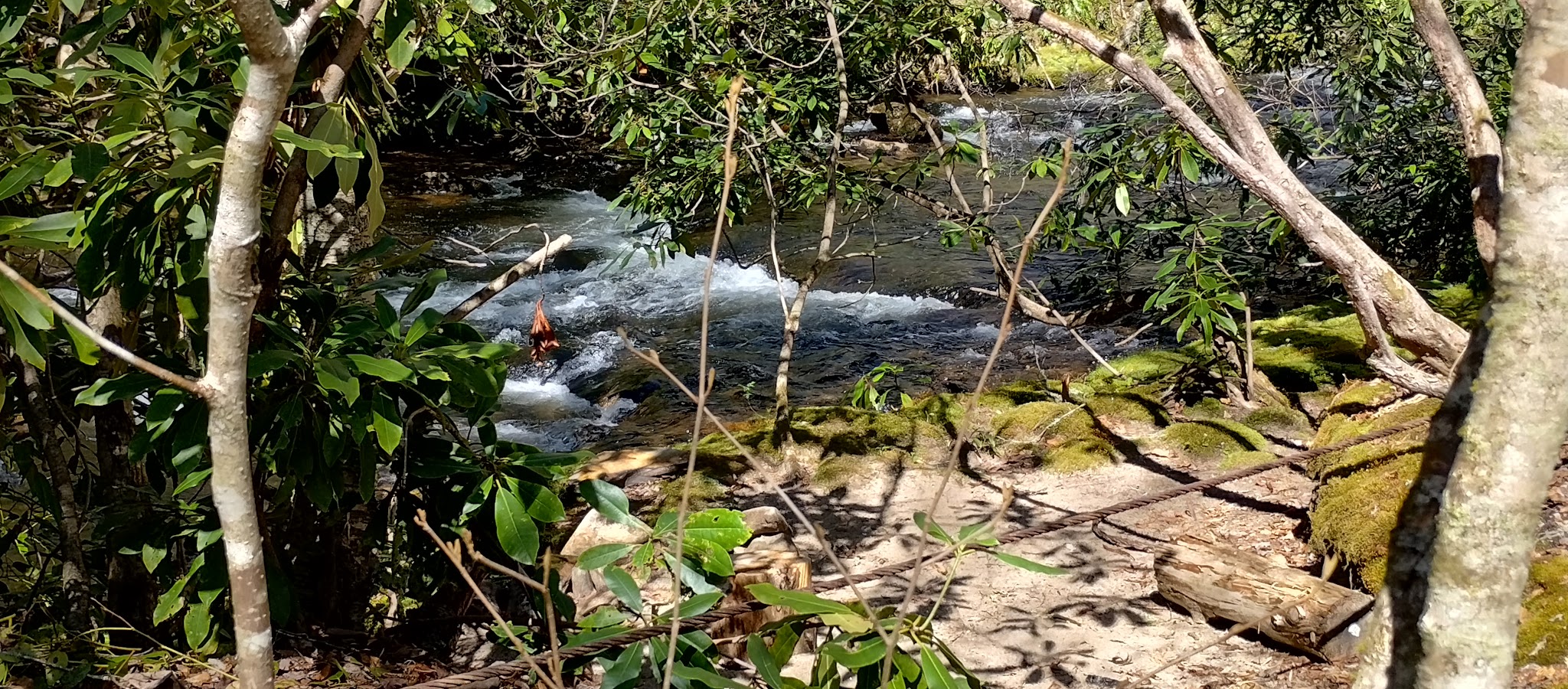Hurricane Creek Horse & Primitive Campground