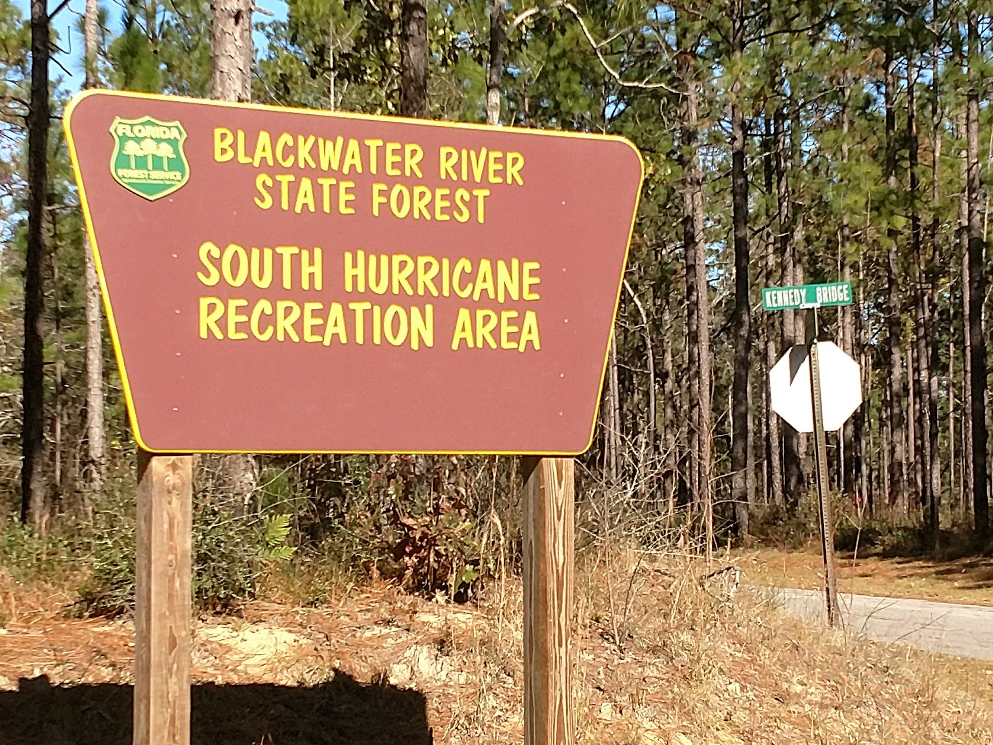 Hurricane Lake South Campground Blackwater River State Forest