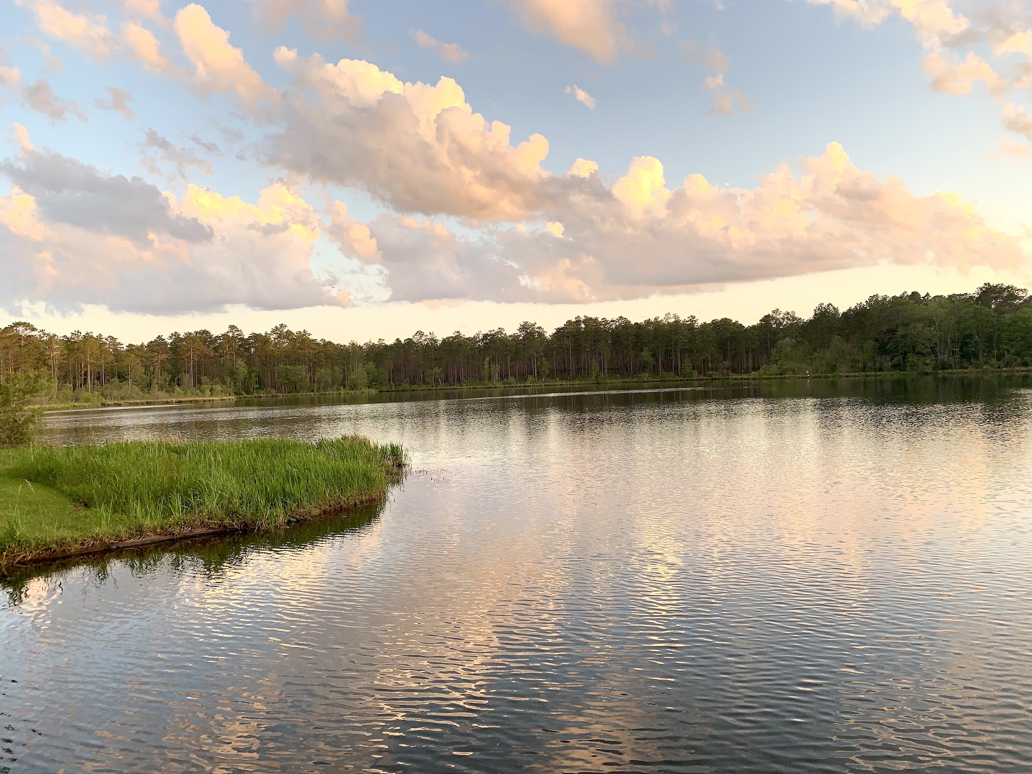 Hurricane Lake South Campground Blackwater River State Forest