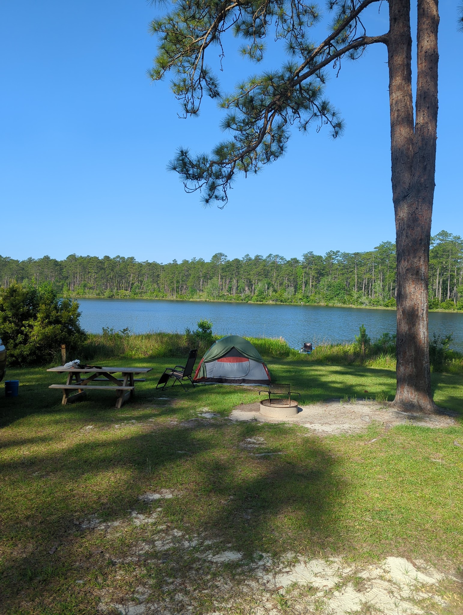 Hurricane Lake South Campground Blackwater River State Forest