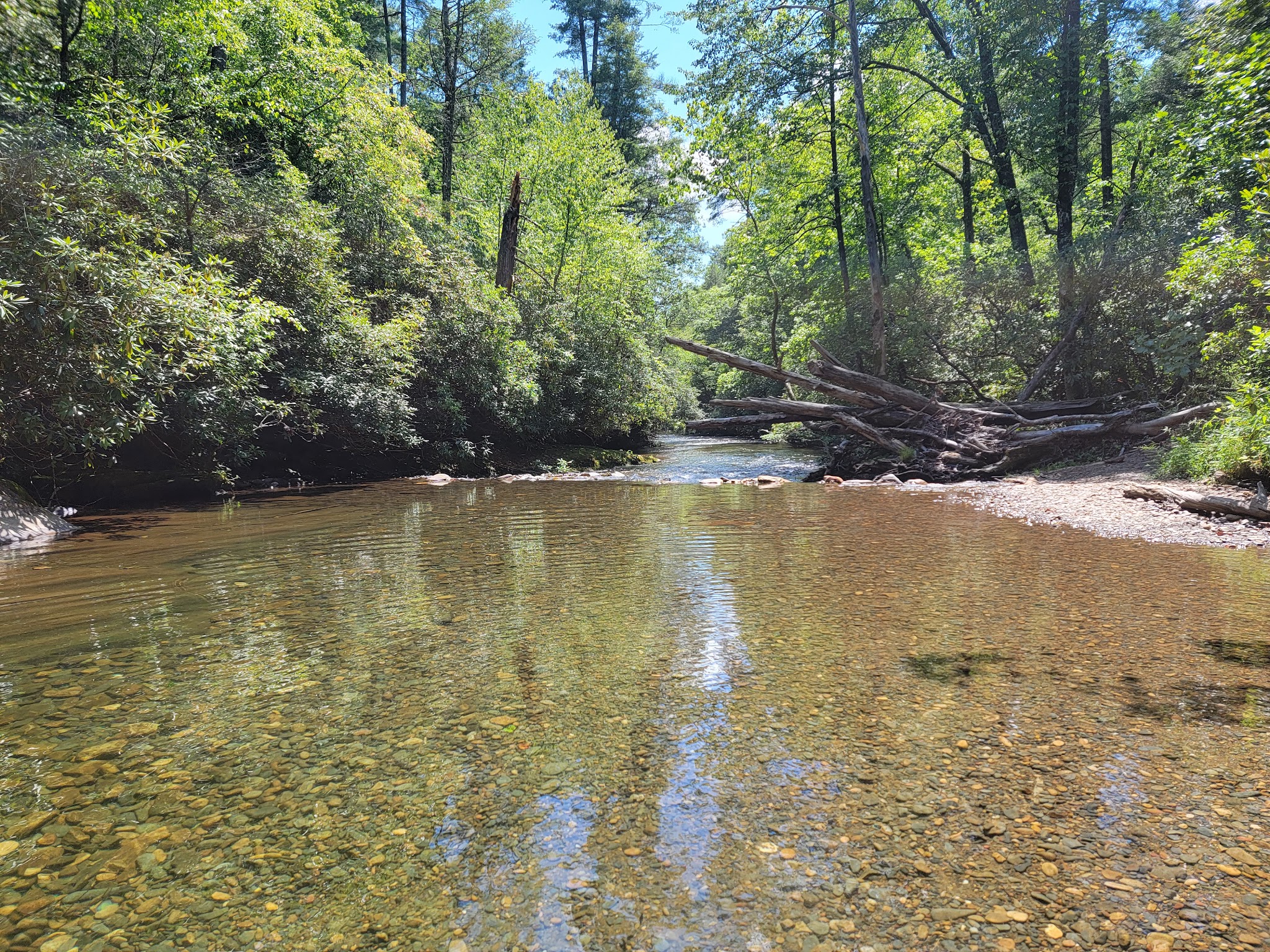 Fires Creek Hunters Camp