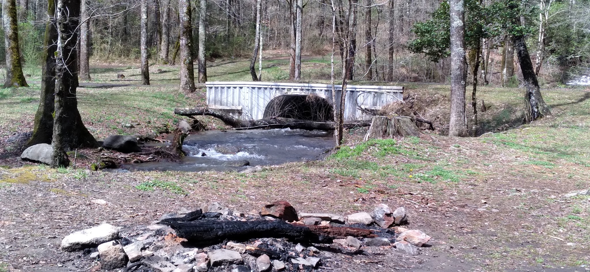Fires Creek Hunters Camp