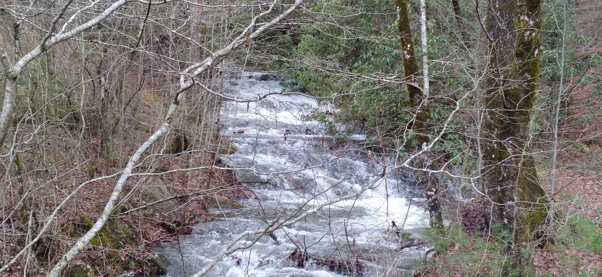 Fires Creek Hunters Camp