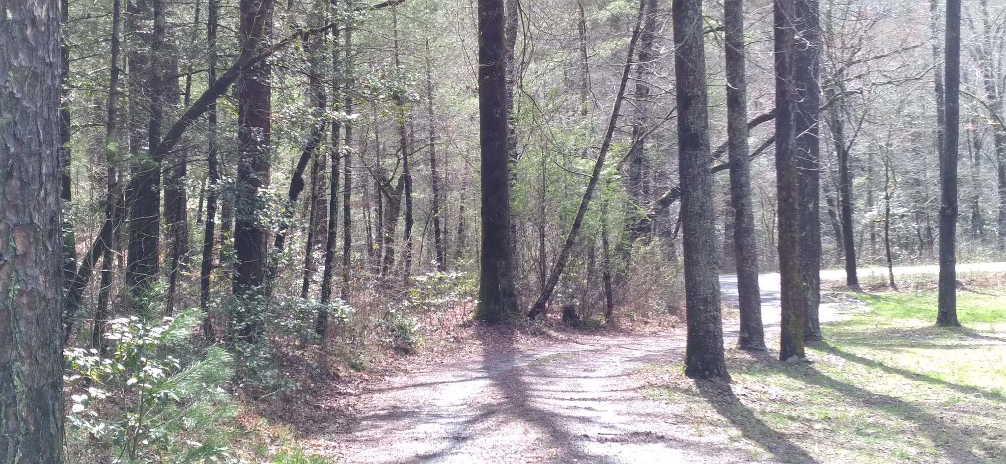 Fires Creek Hunters Camp