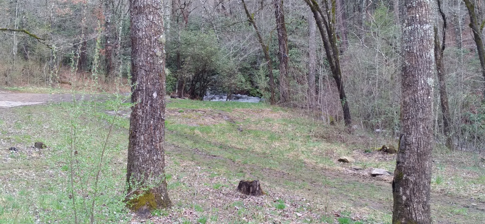 Fires Creek Hunters Camp