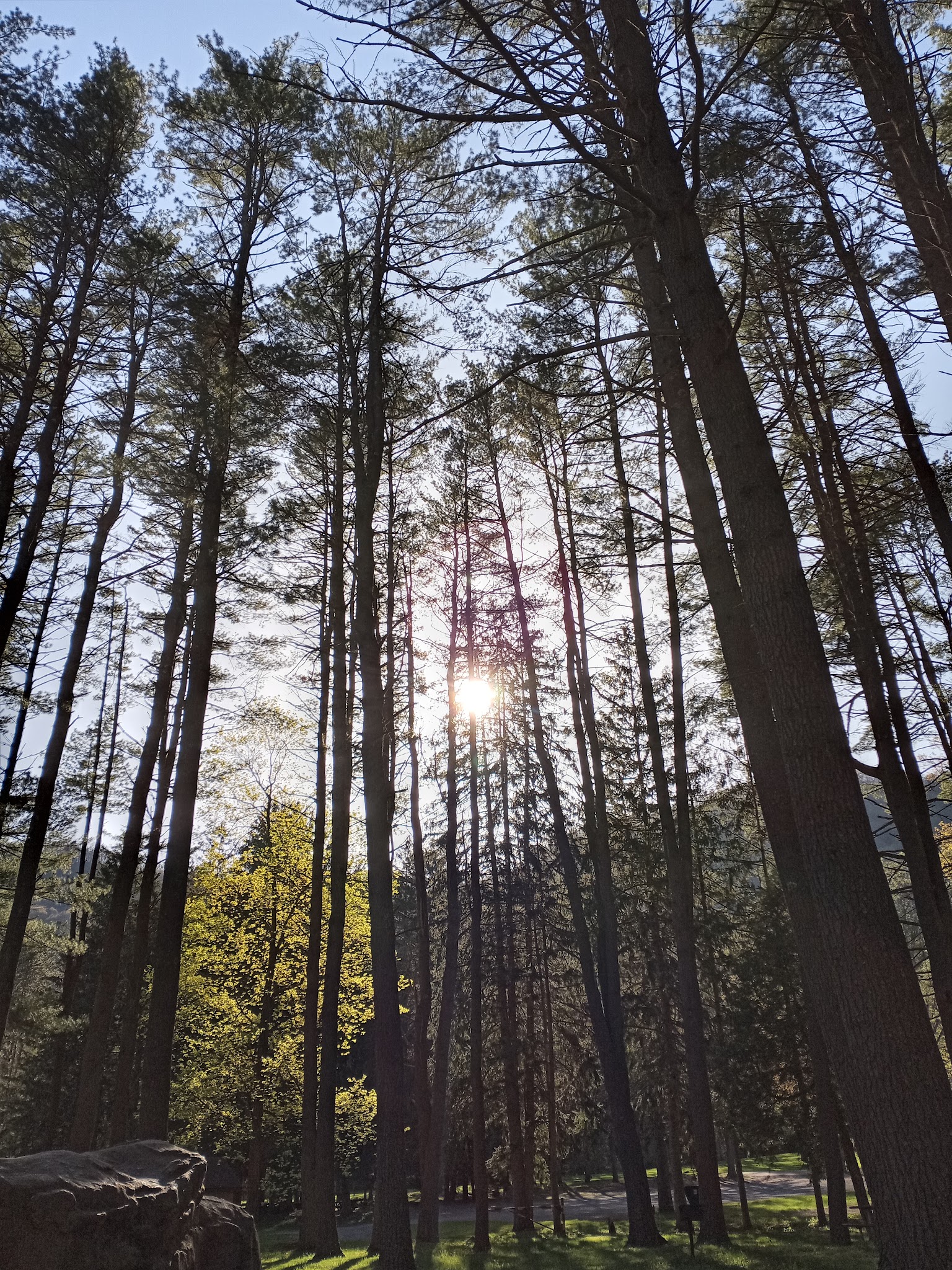 Hyner Run State Park