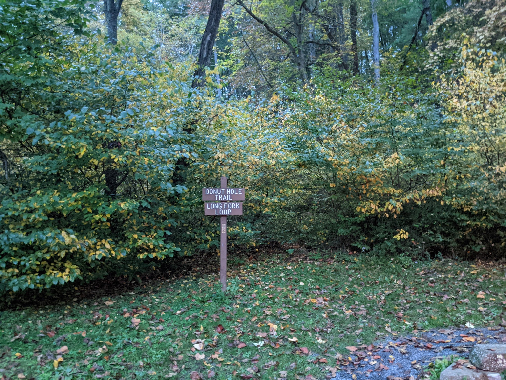 Hyner Run State Park