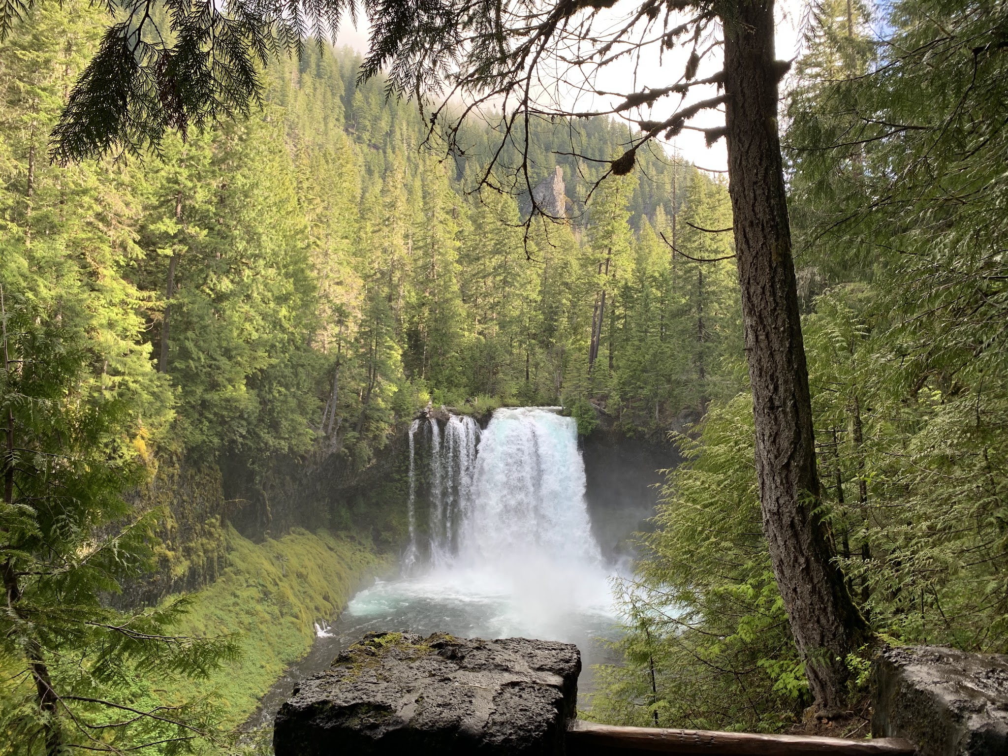 Ice Cap Campground