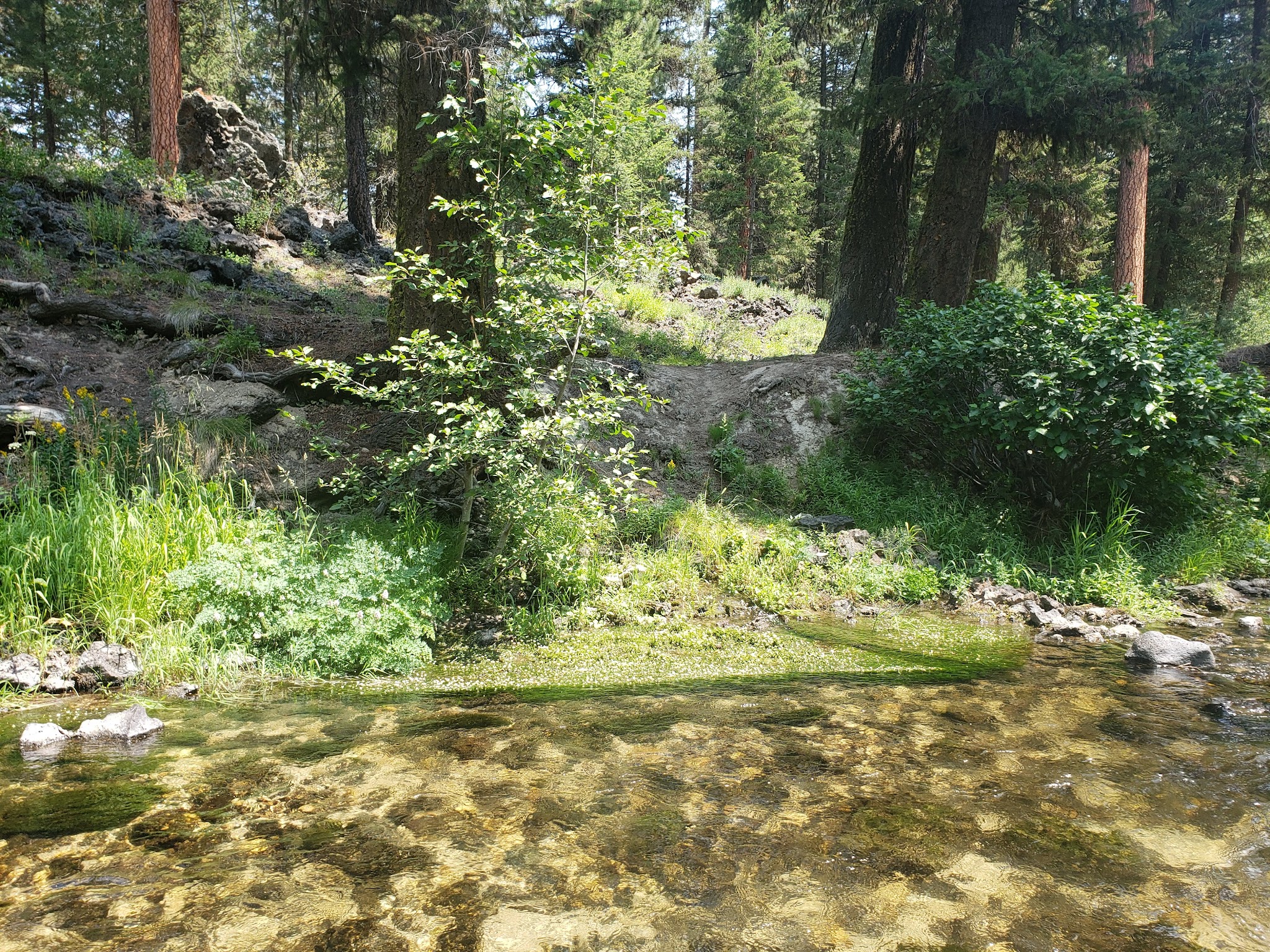 Ice Springs Campground