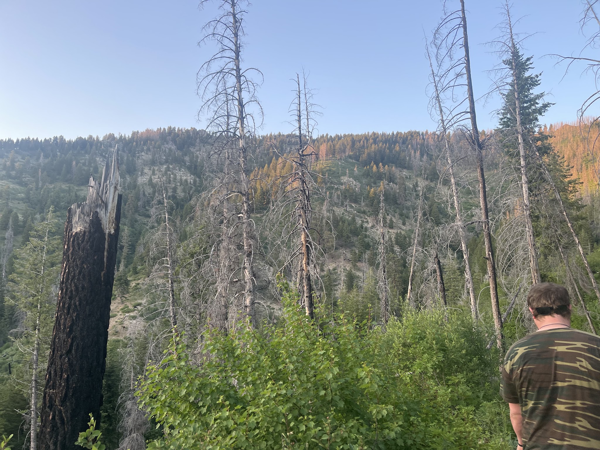 Ice Springs Campground