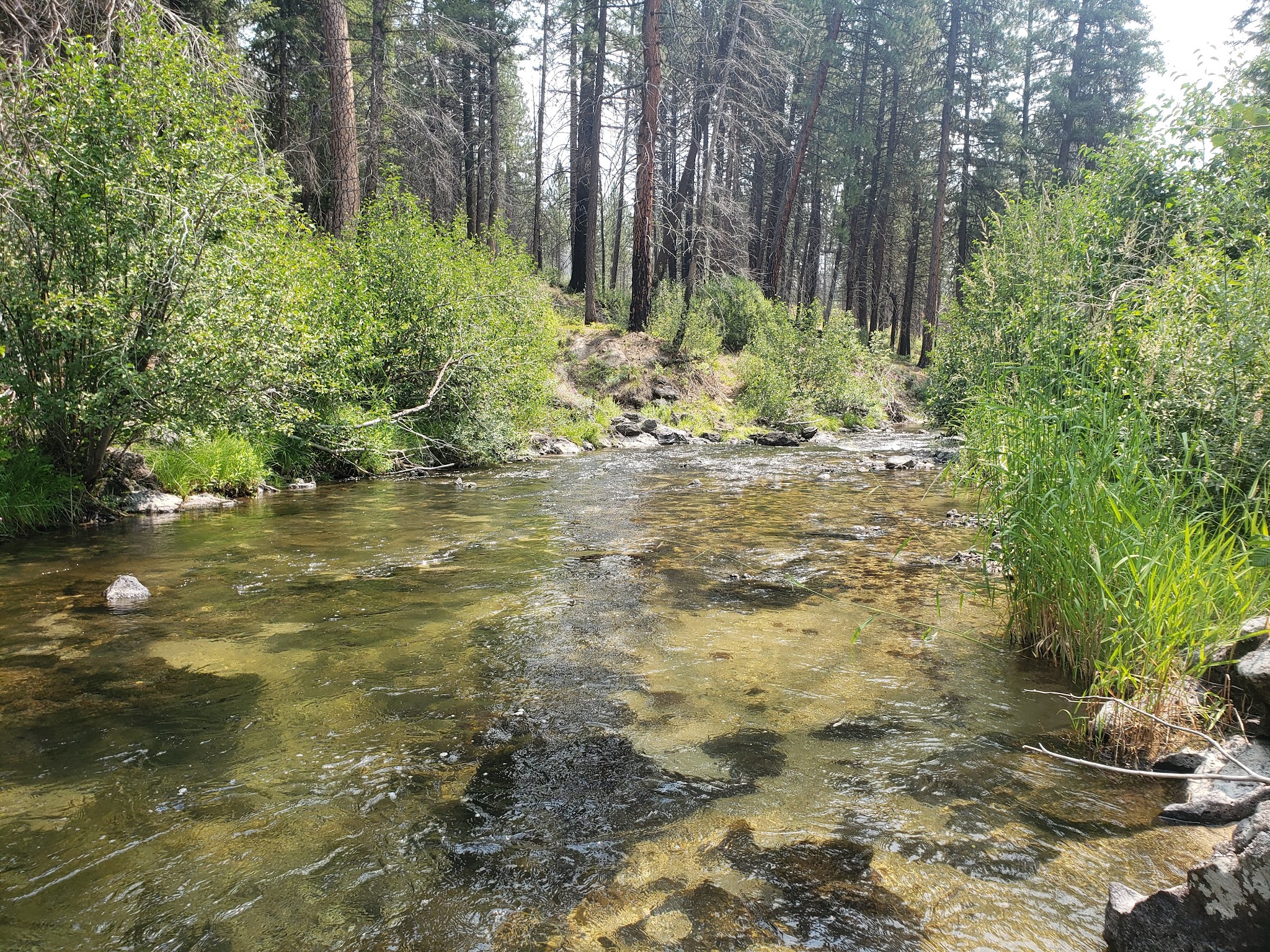 Ice Springs Campground