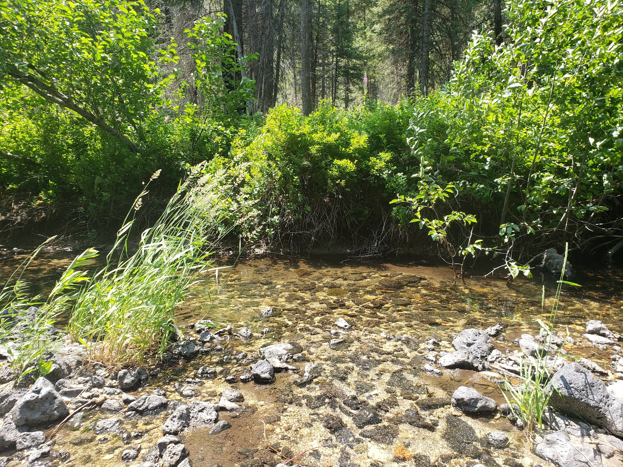 Ice Springs Campground