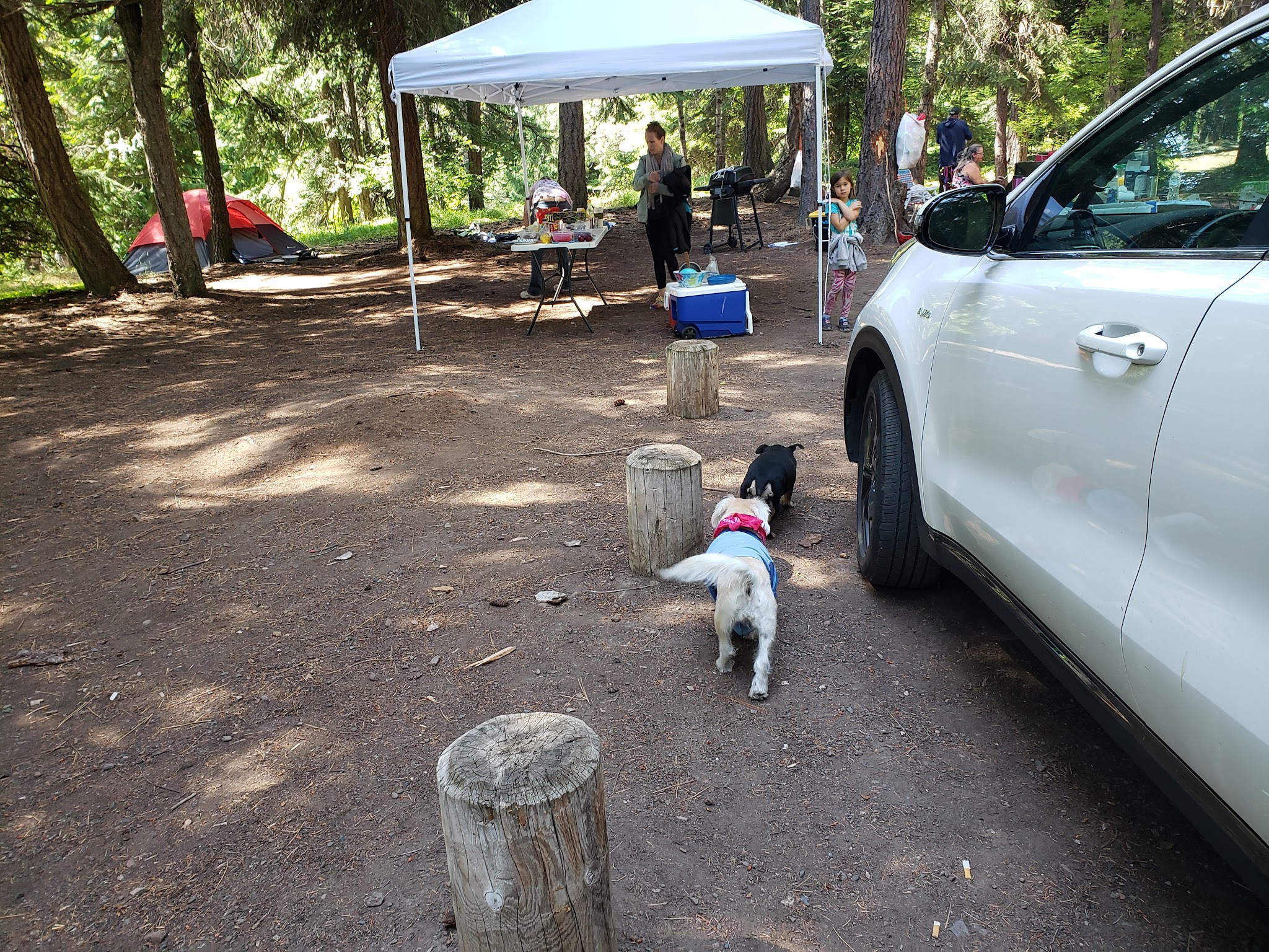 Icewater Creek Campground