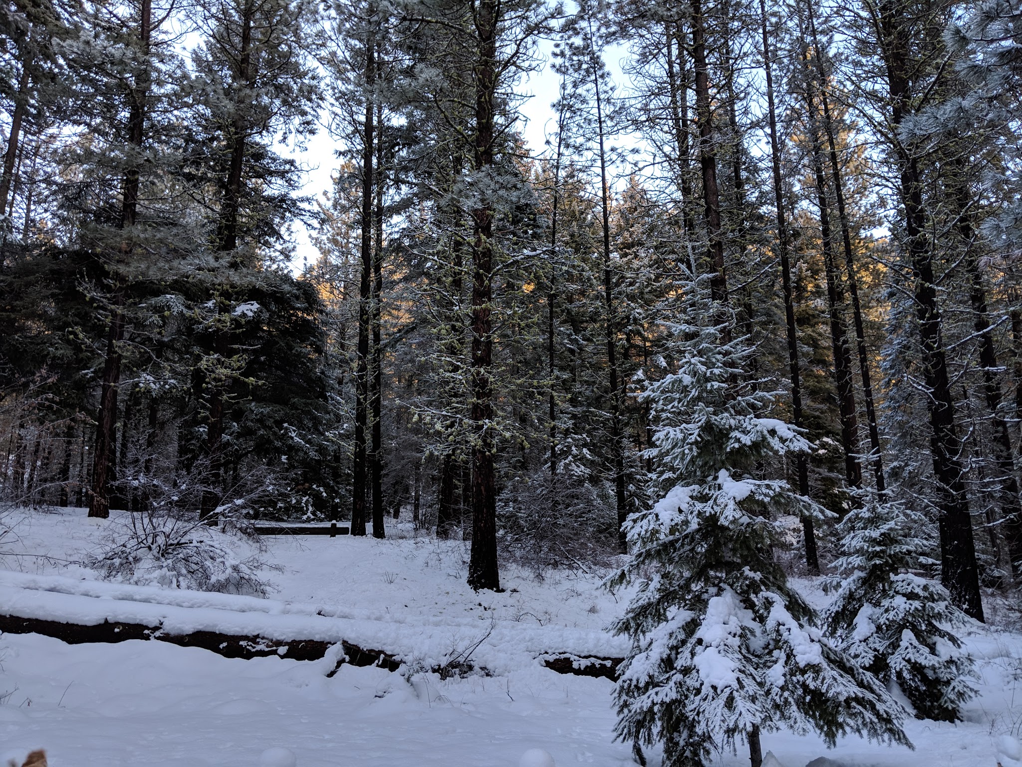 Icewater Creek Campground