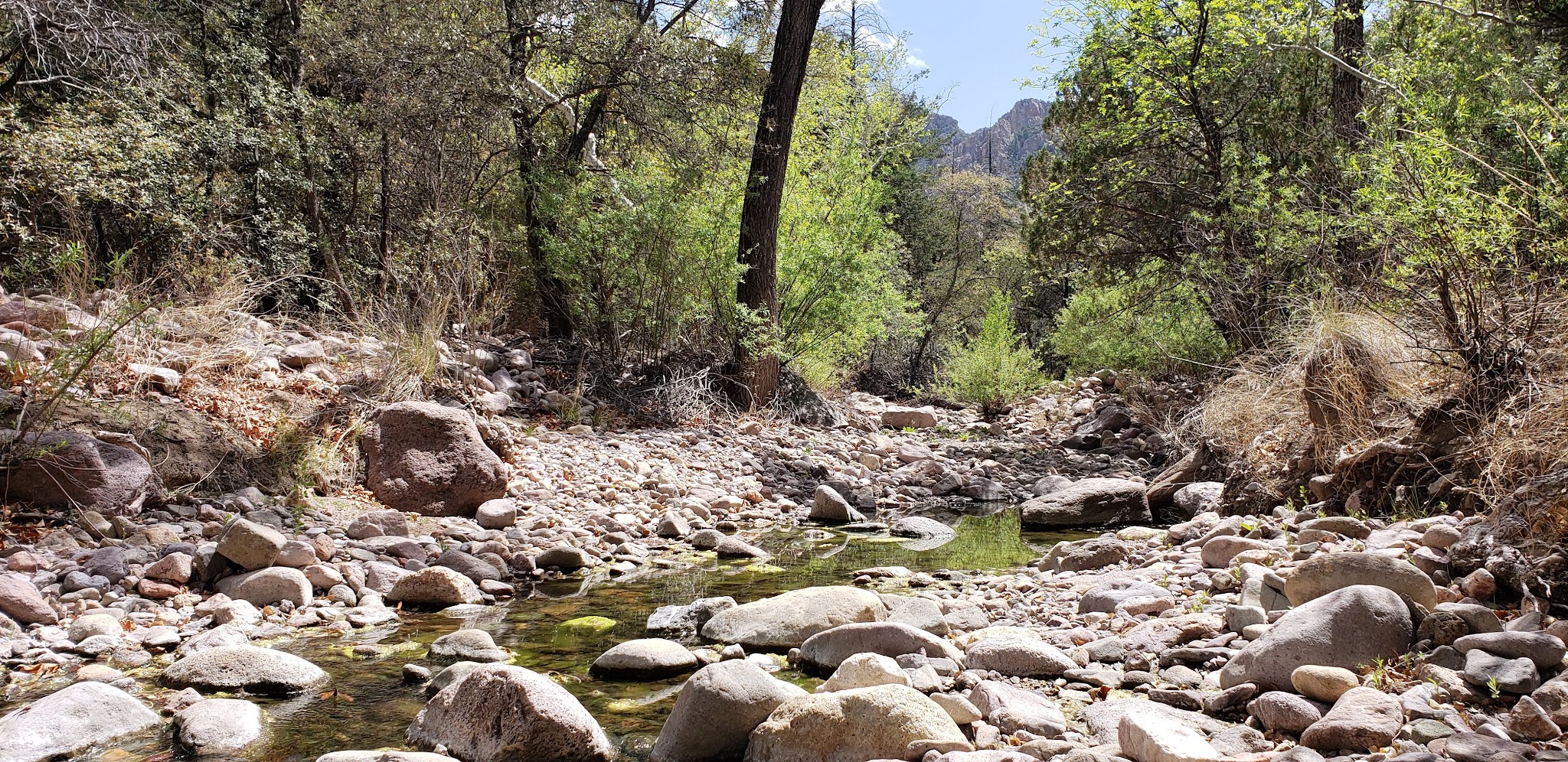 Idlewilde Campground