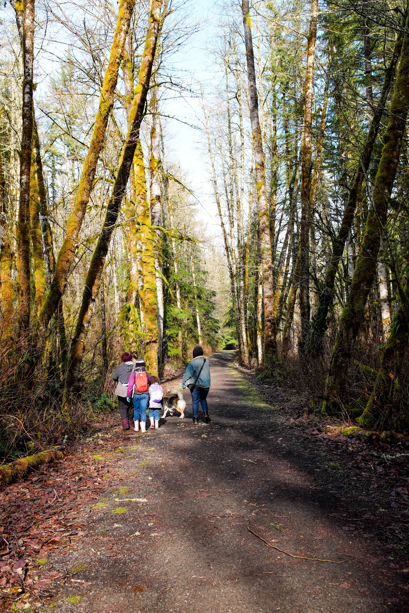 Ike Kinswa State Park