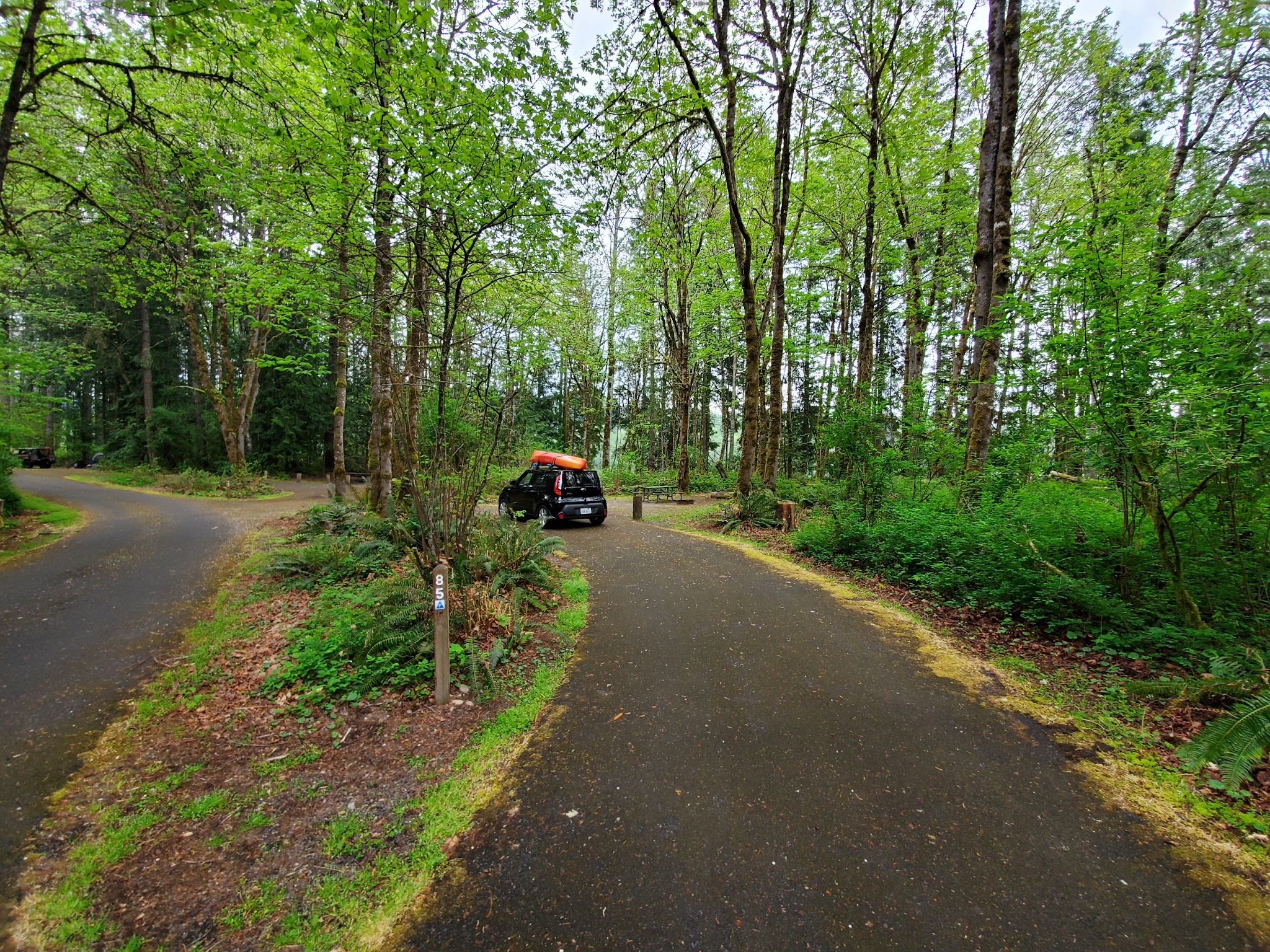 Ike Kinswa State Park