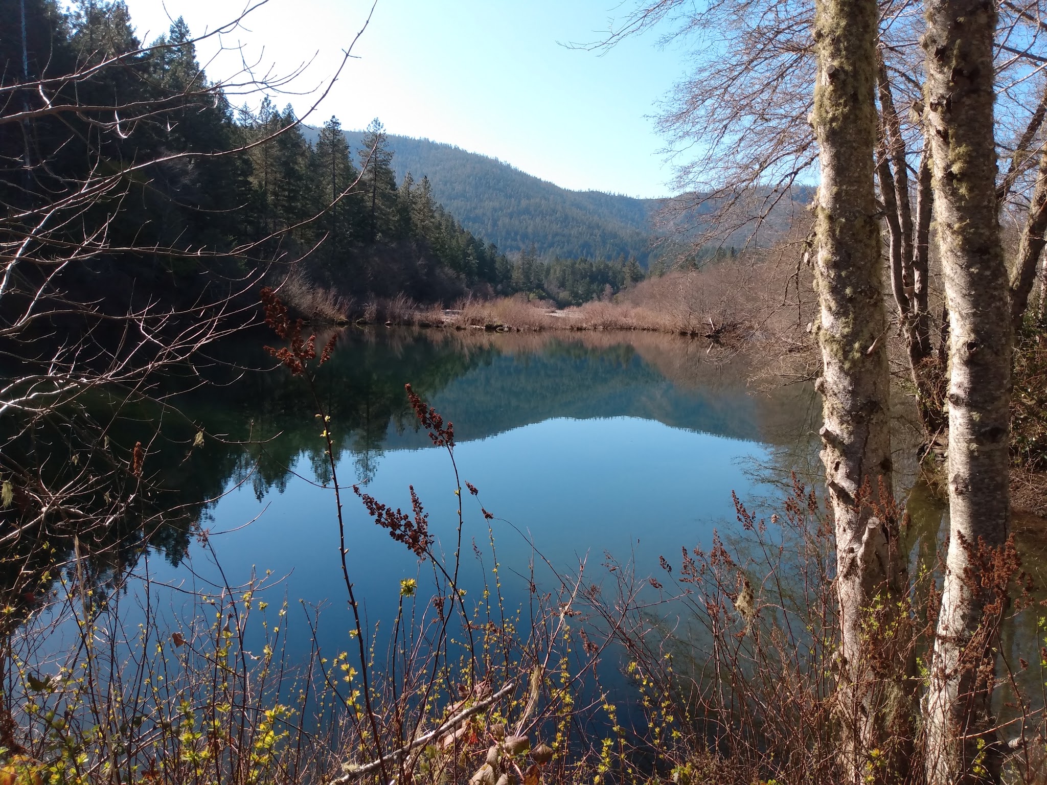 Illinois River Forks Sp