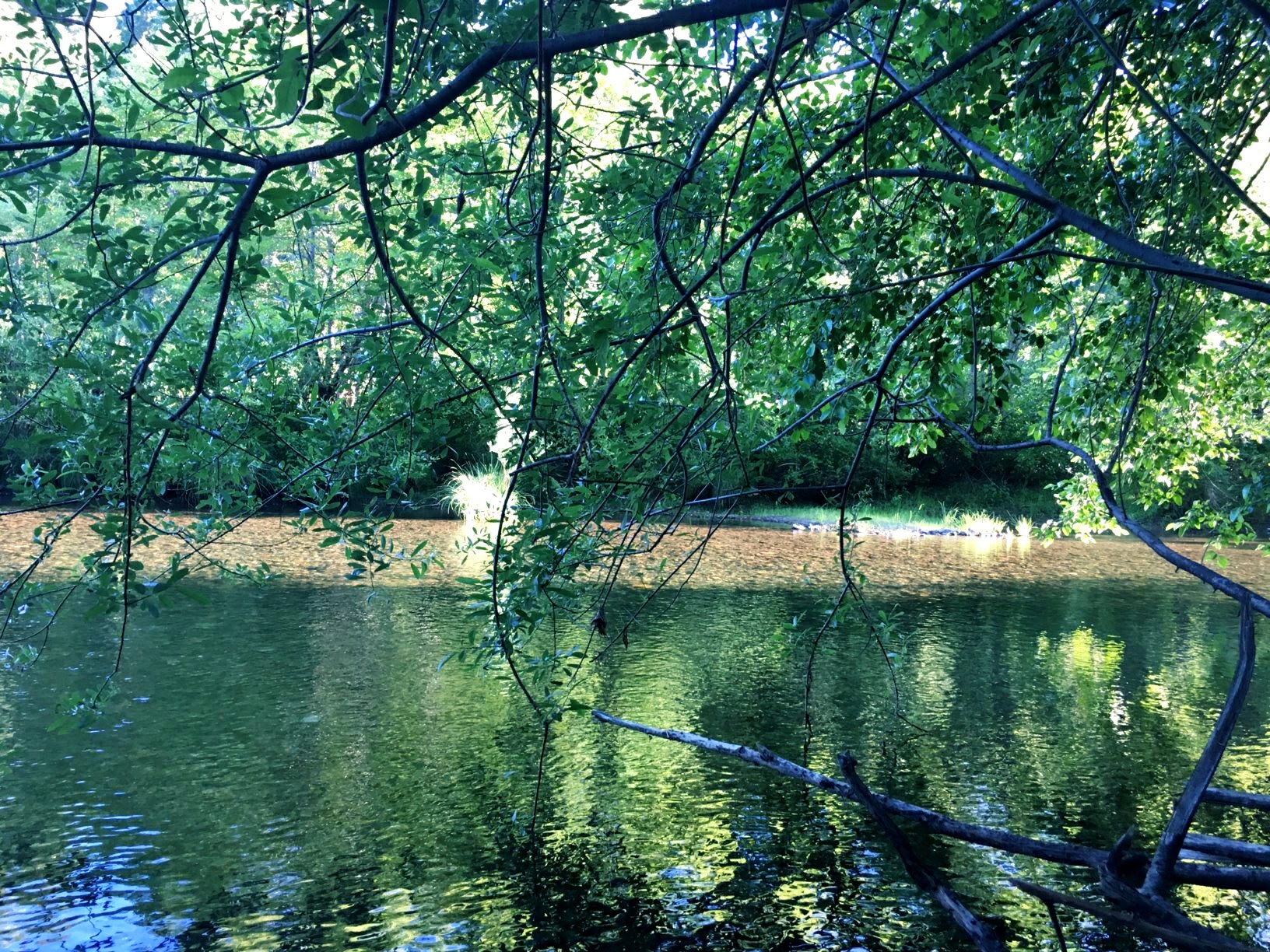Illinois River Forks Sp