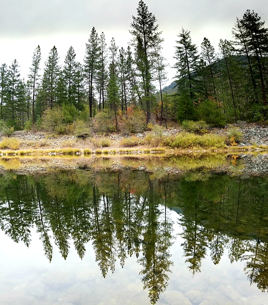 Illinois River Forks Sp