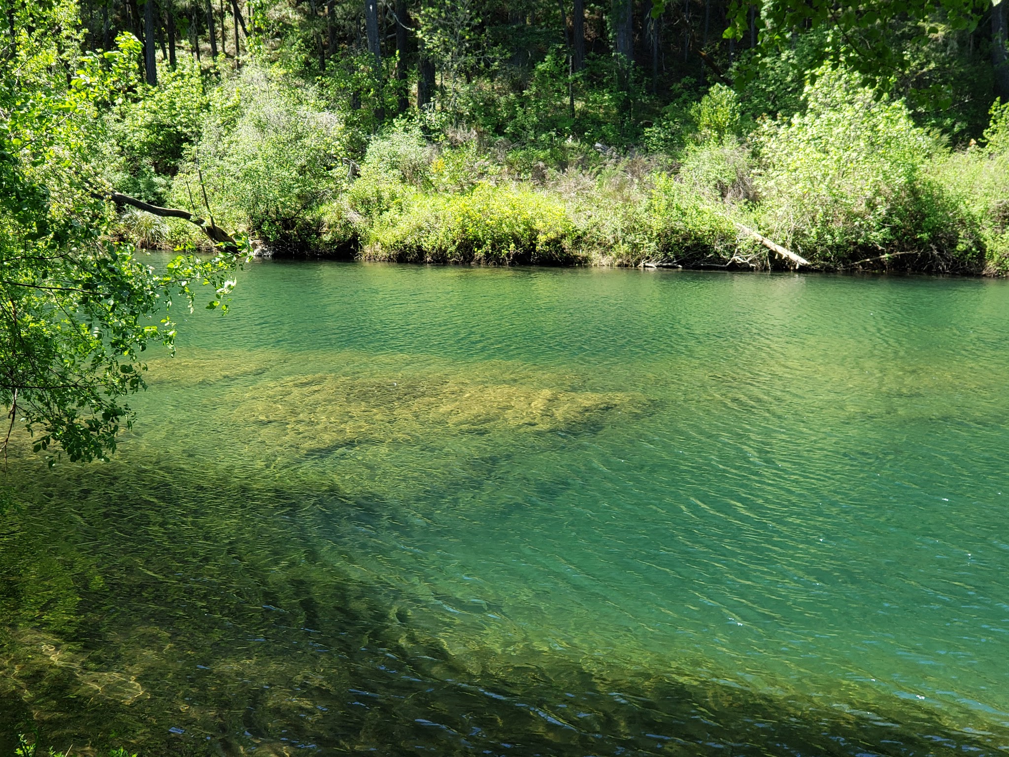 Illinois River Forks Sp