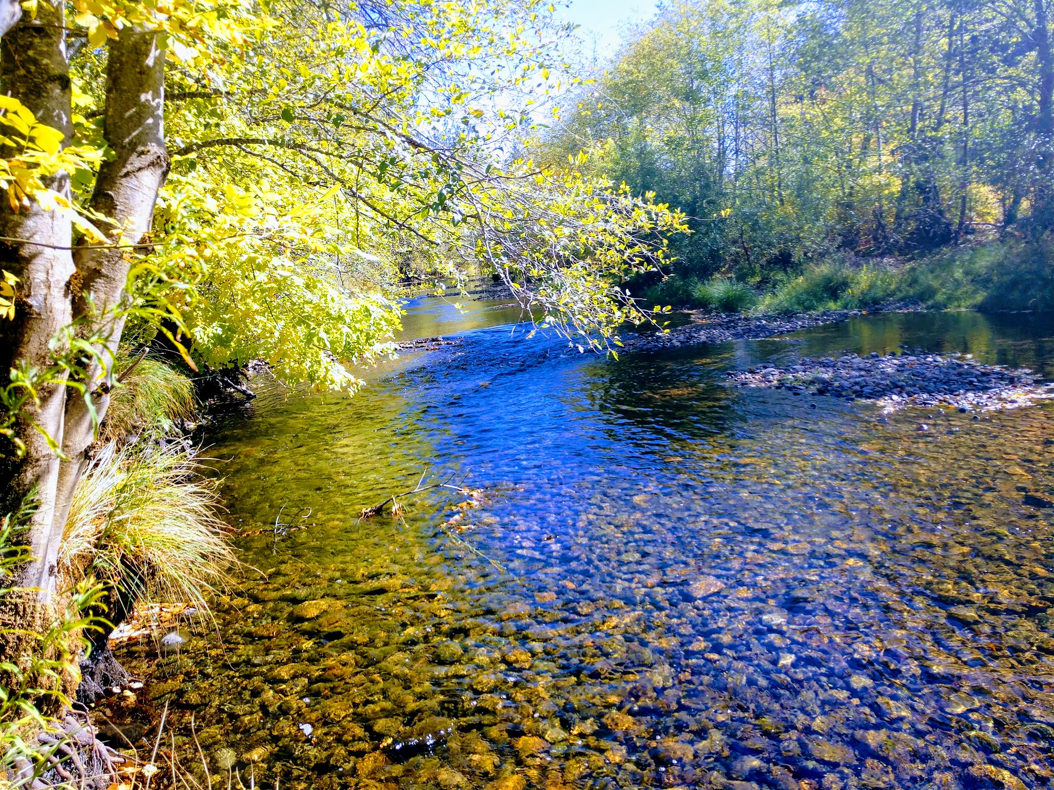Illinois River Forks Sp