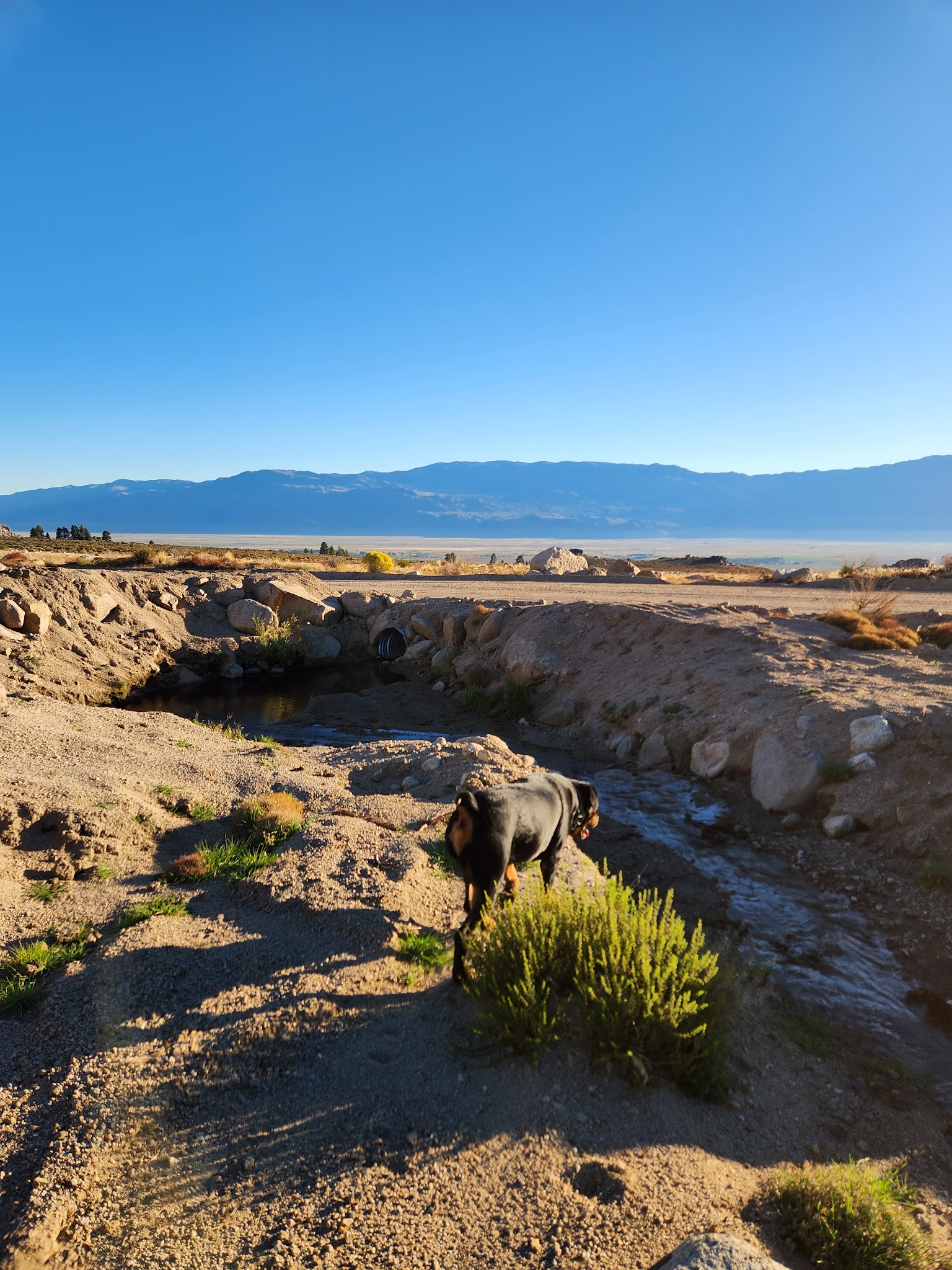 Independence Creek Campground