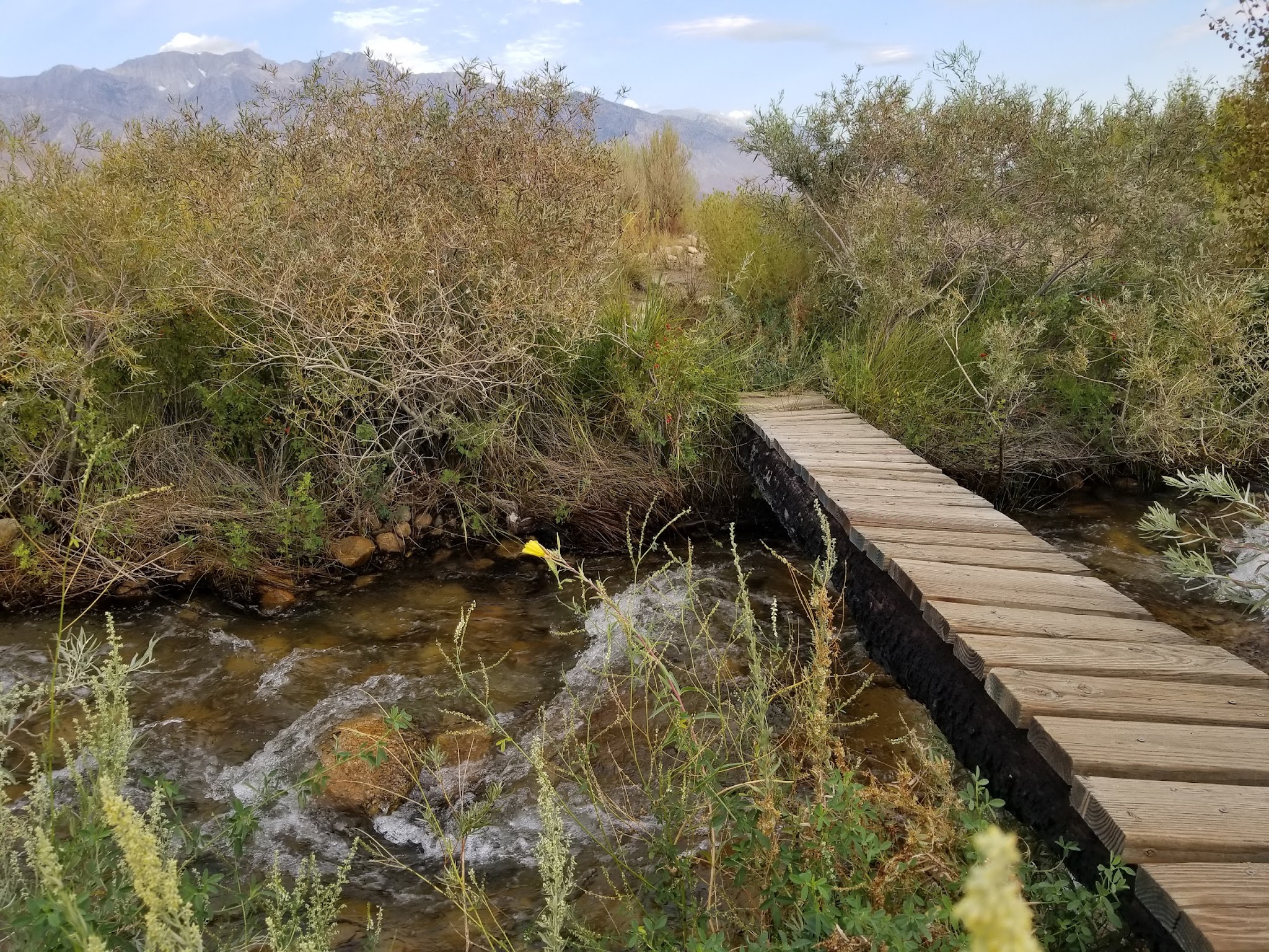 Independence Creek Campground