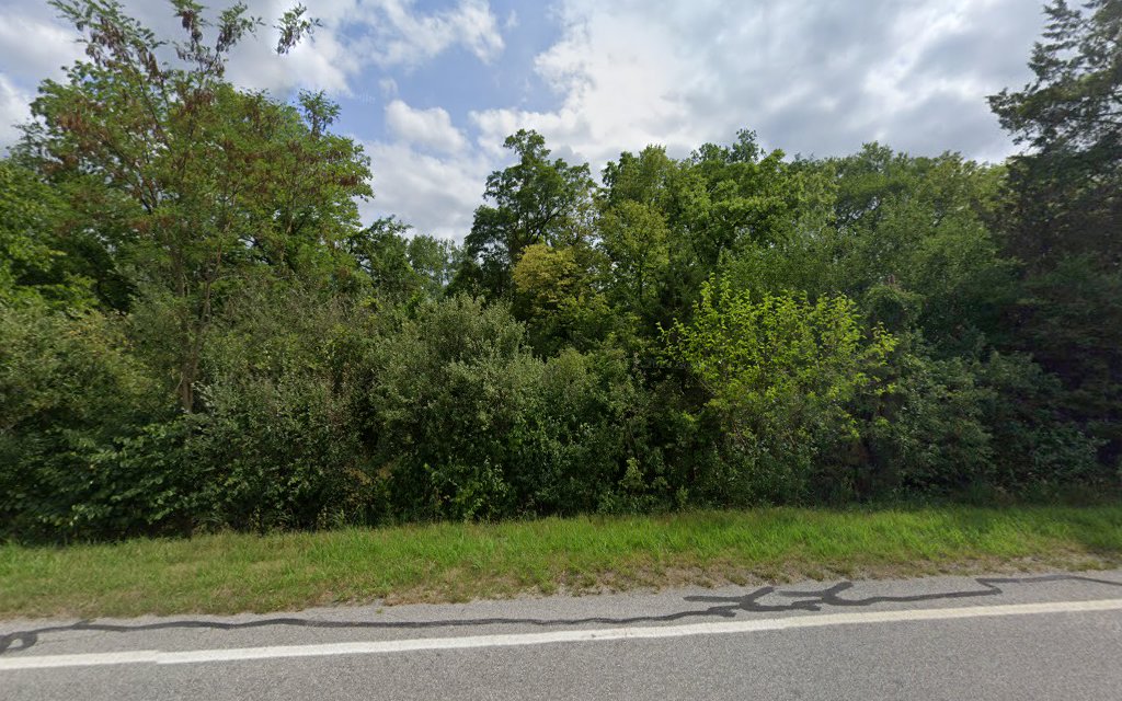 Independence Dam Campground