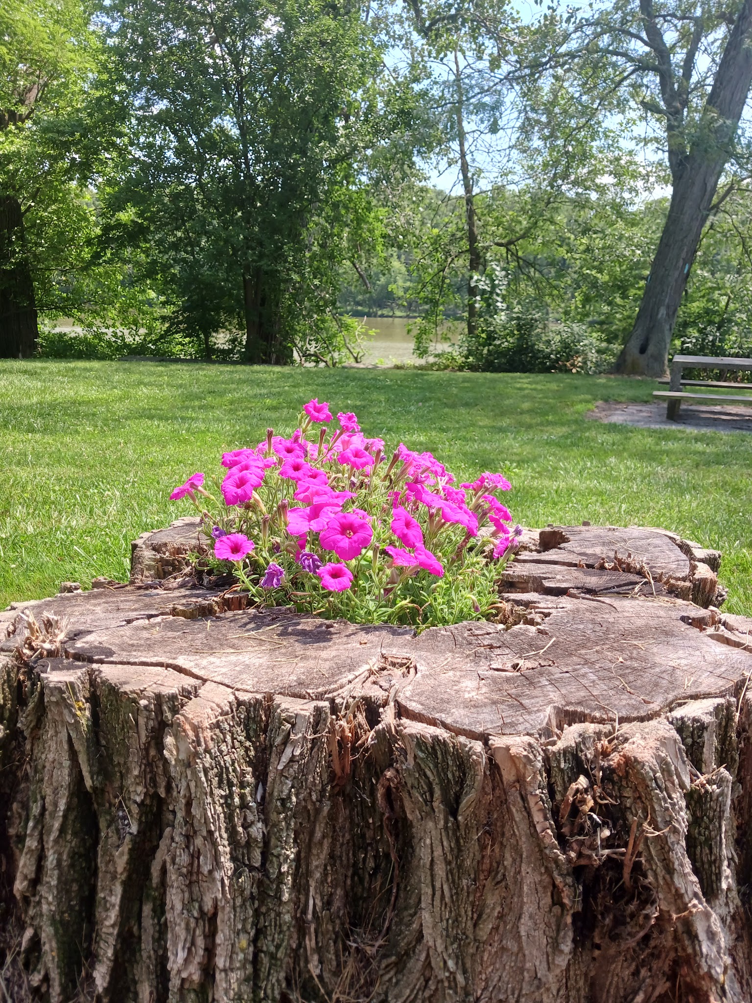 Independence Dam Campground