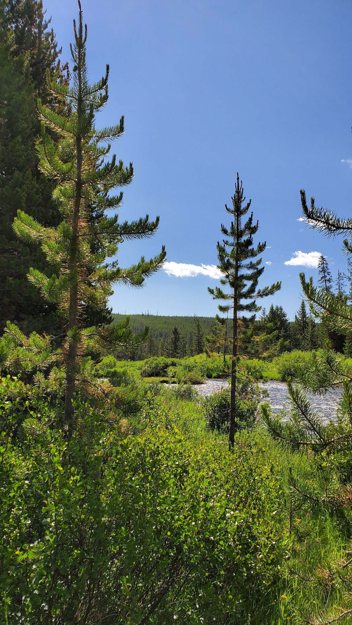 Indian Creek Campground (Wy)