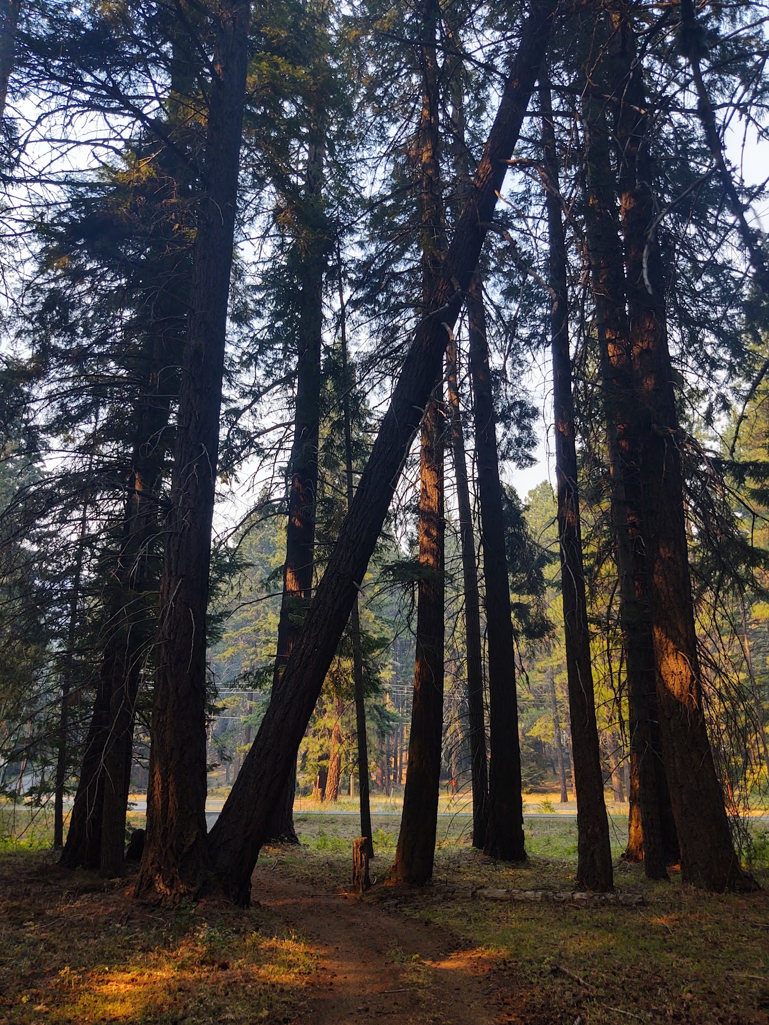 Indian Creek Recreation Area Campground