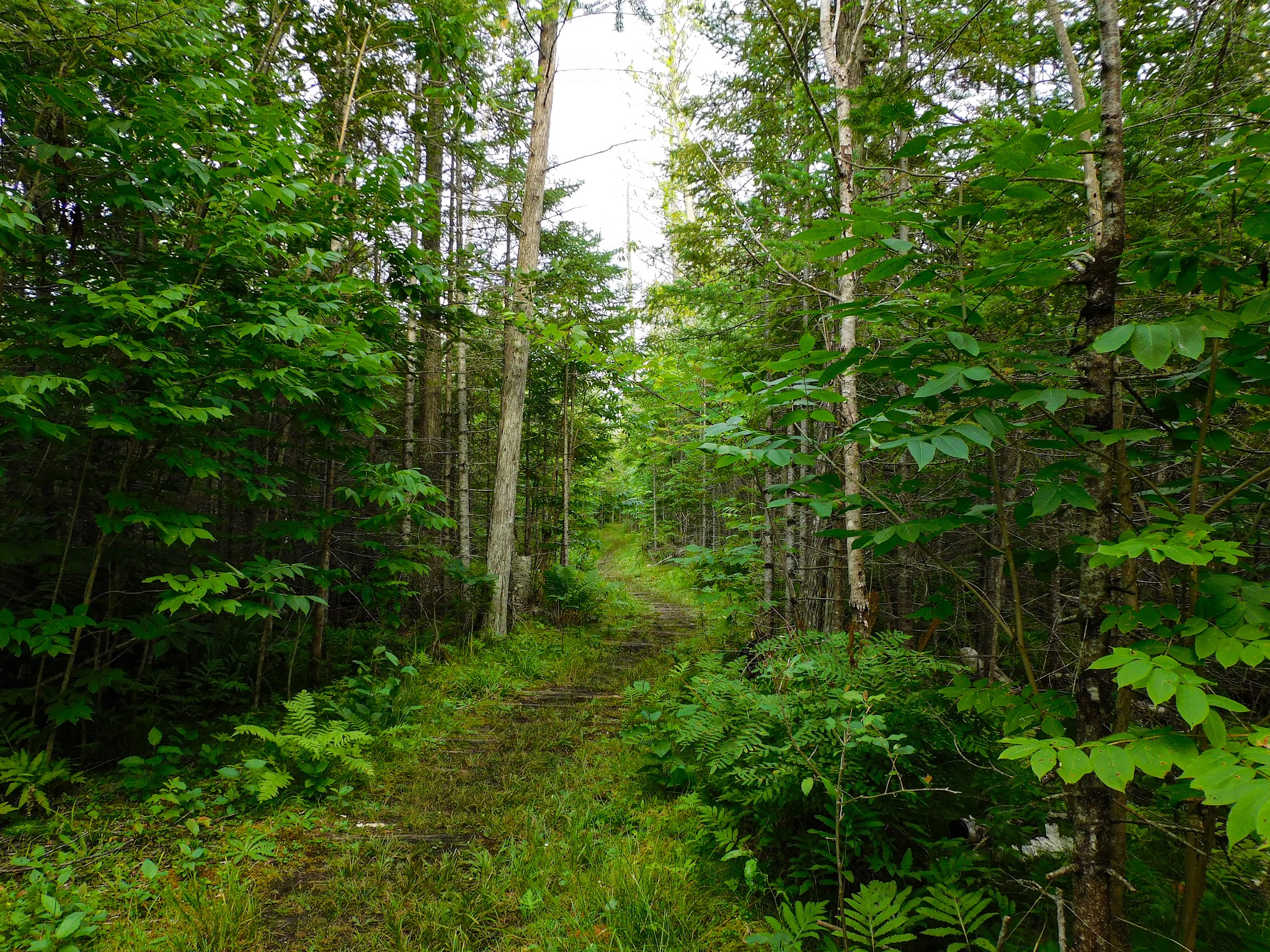 Indian Lake South Campground