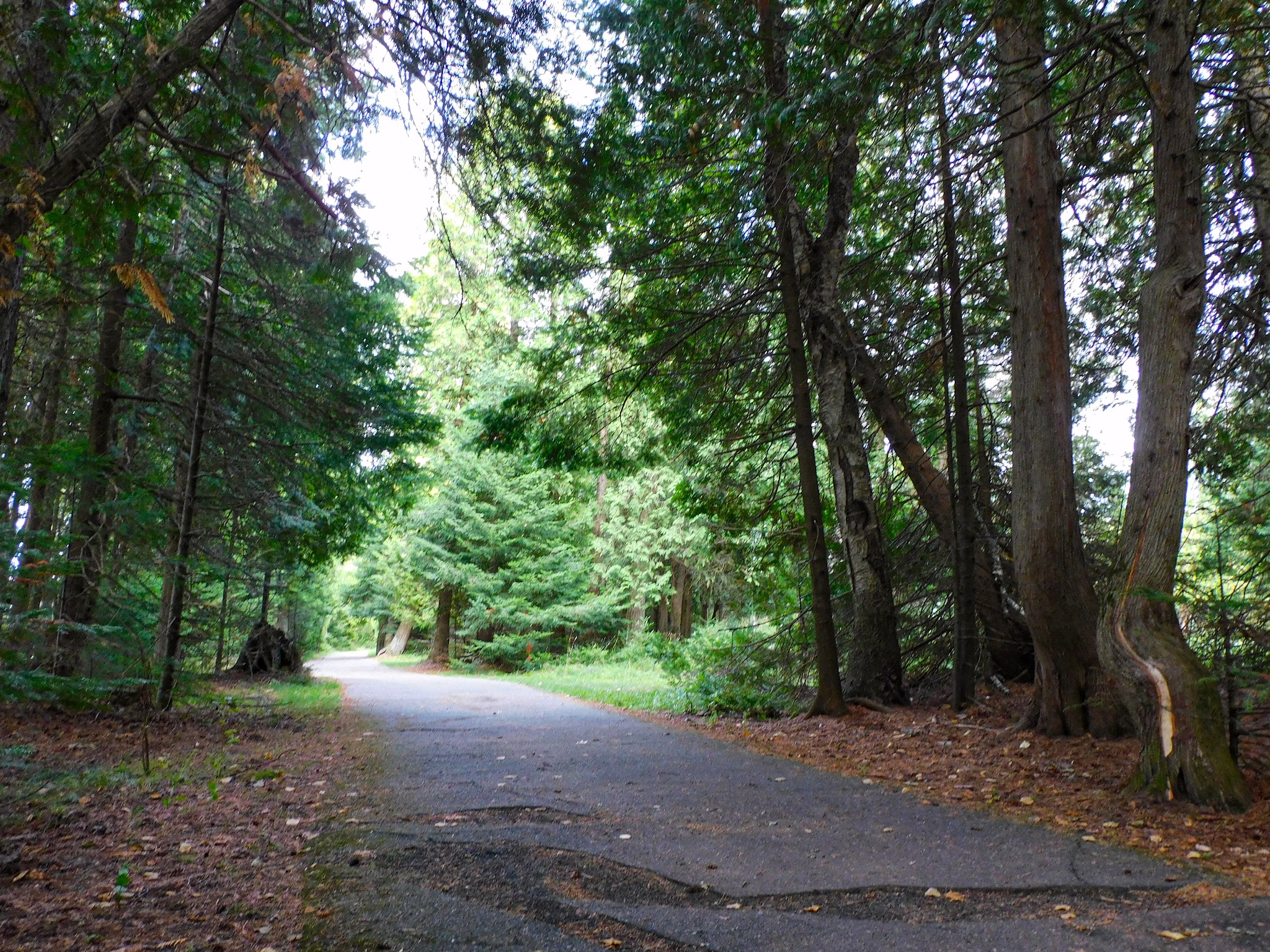 Indian Lake South Campground