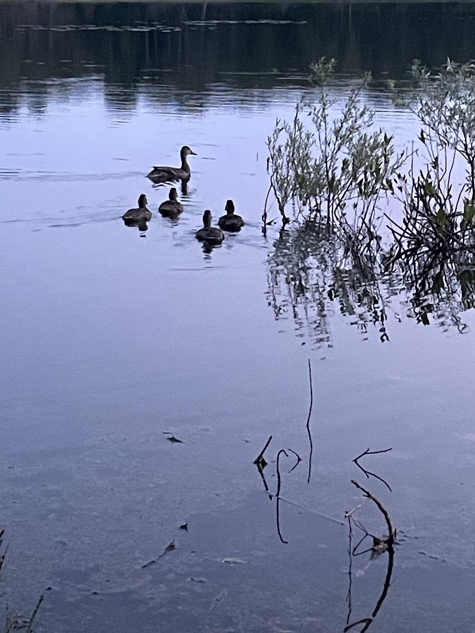 Indian Lake Campground