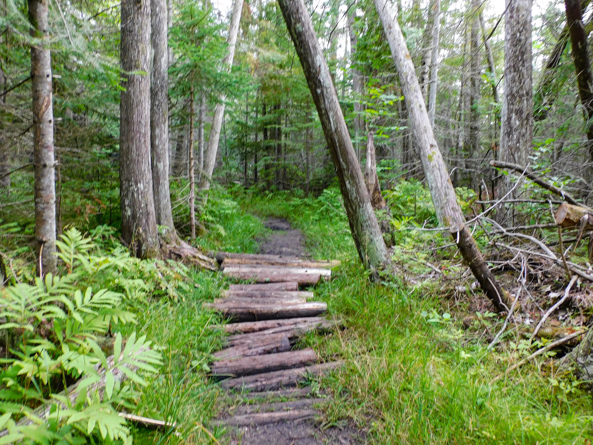 Indian Lake South Campground