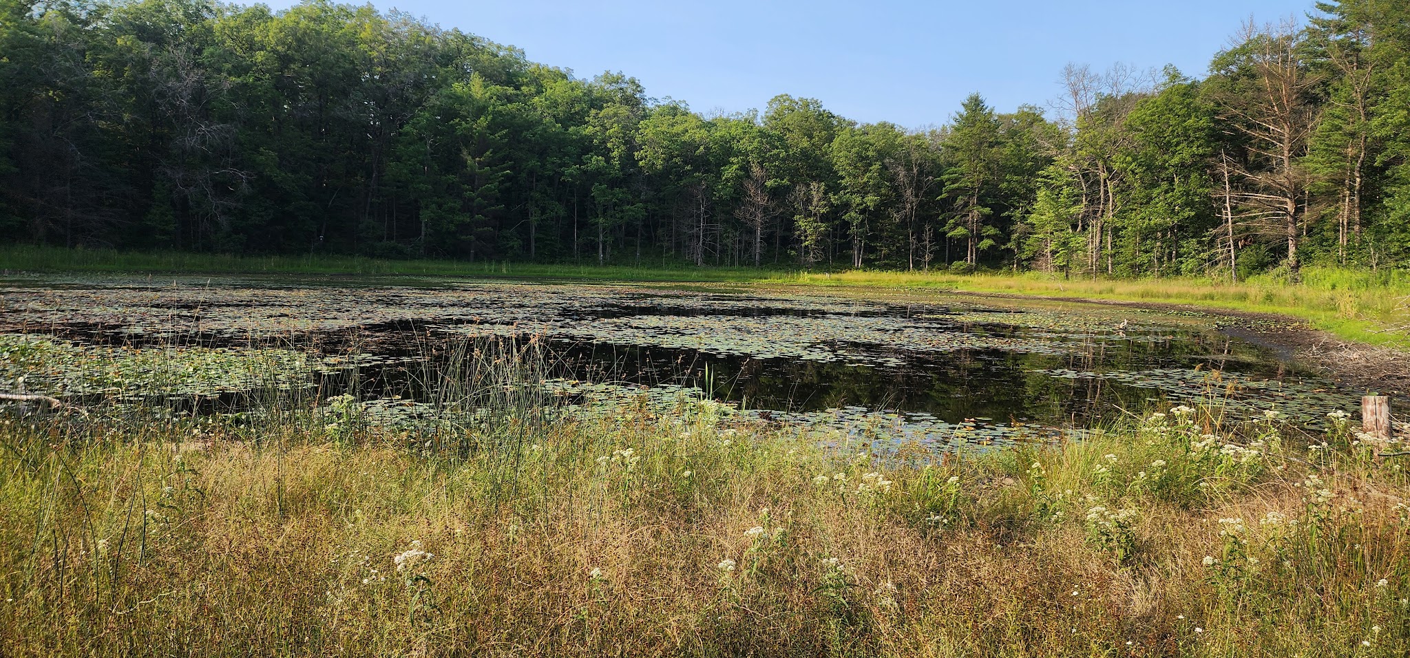 Indian Lake Campground