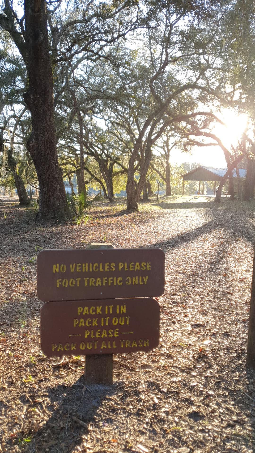 Indian Lake State Forest Campground
