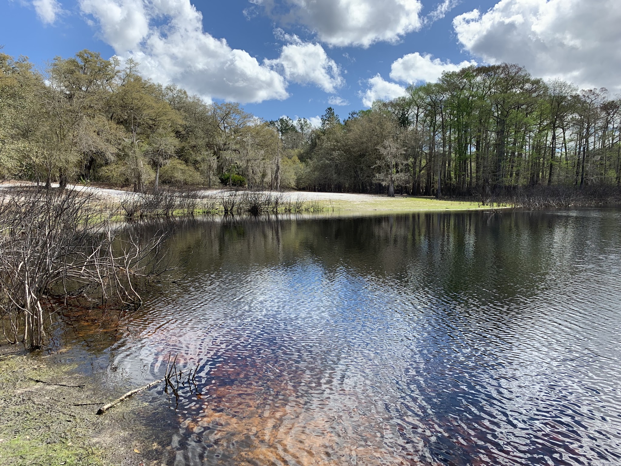 Indian Lake State Forest Campground