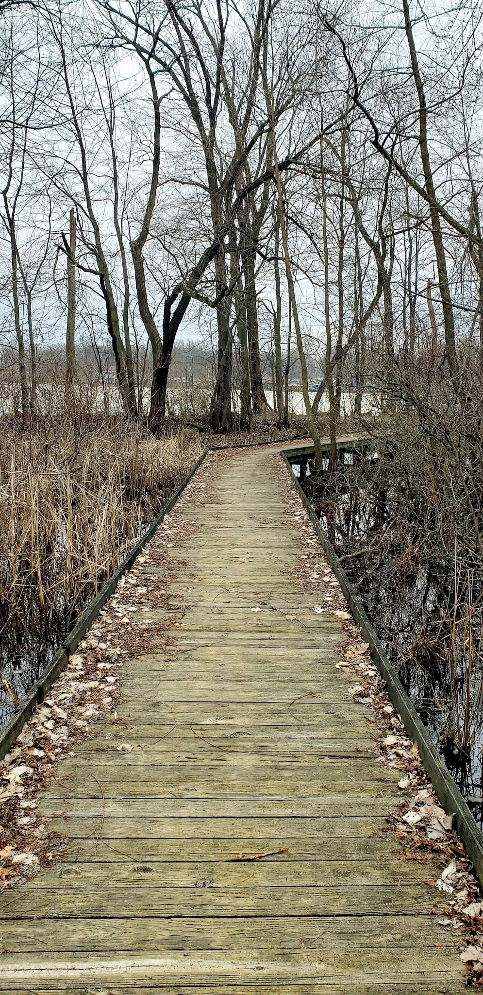 Wilderness Way Campground